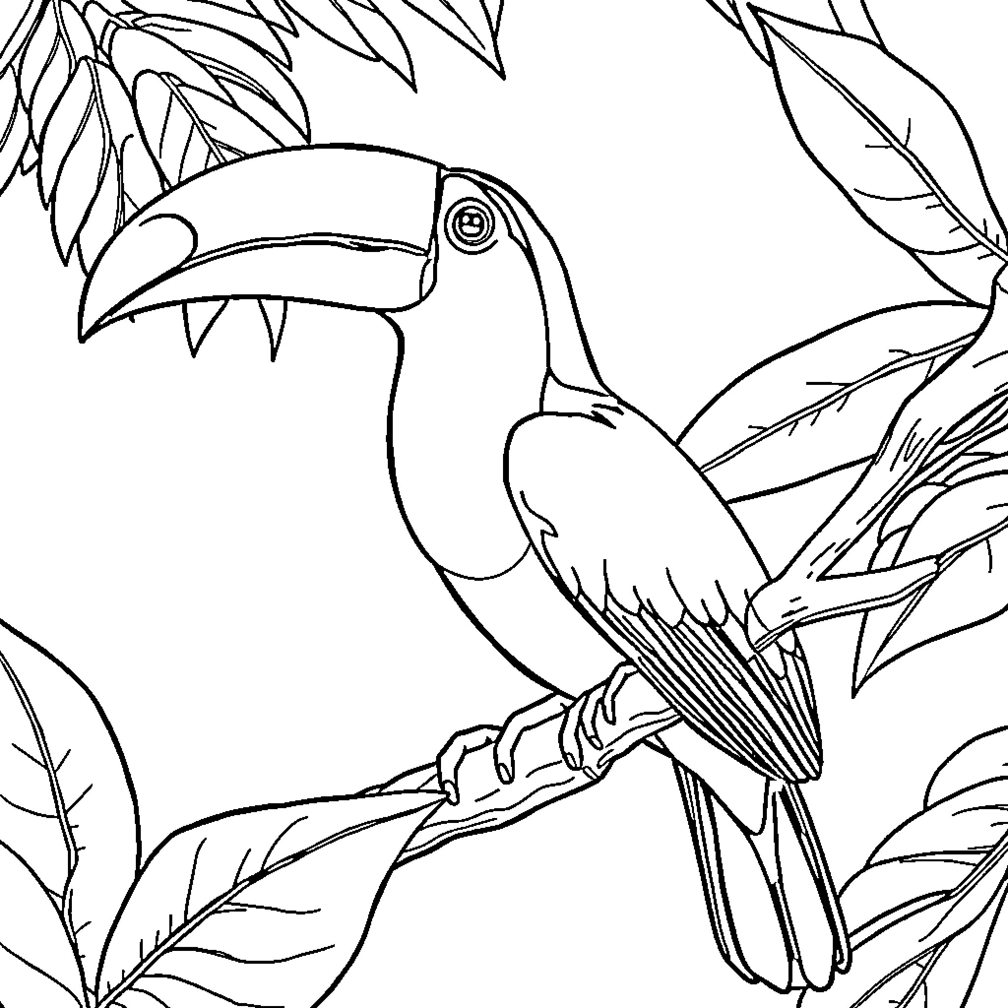Toucan perched among tropical foliage Coloring Page (free black-and-white line drawing printable PDF for all, from beginners to advanced learners, including children, teens, adults, and seniors)