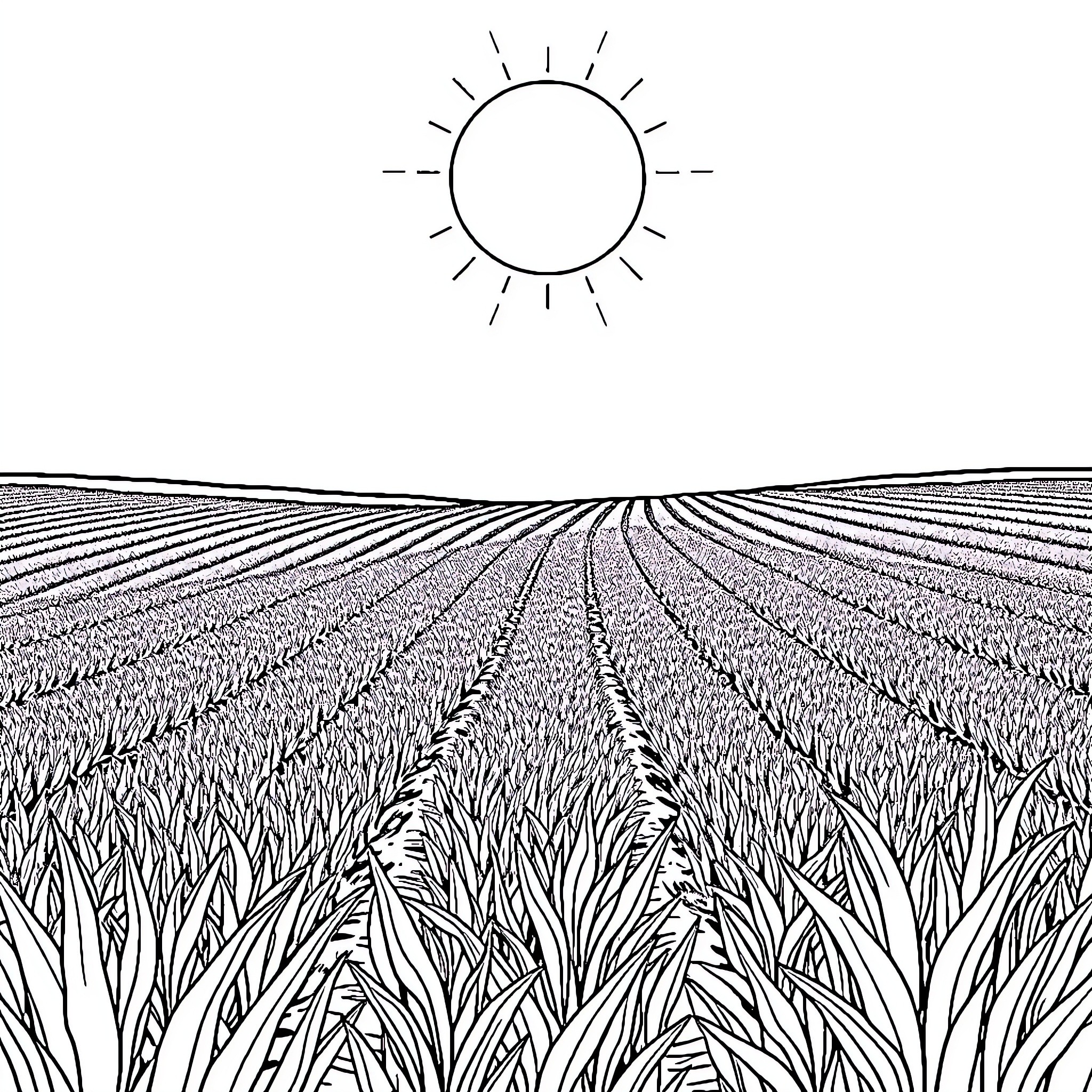 Agriculture: Rows of Crops Under the Sun Coloring Page (free black-and-white line drawing printable PDF for all, from beginners to advanced learners, including children, teens, adults, and seniors)