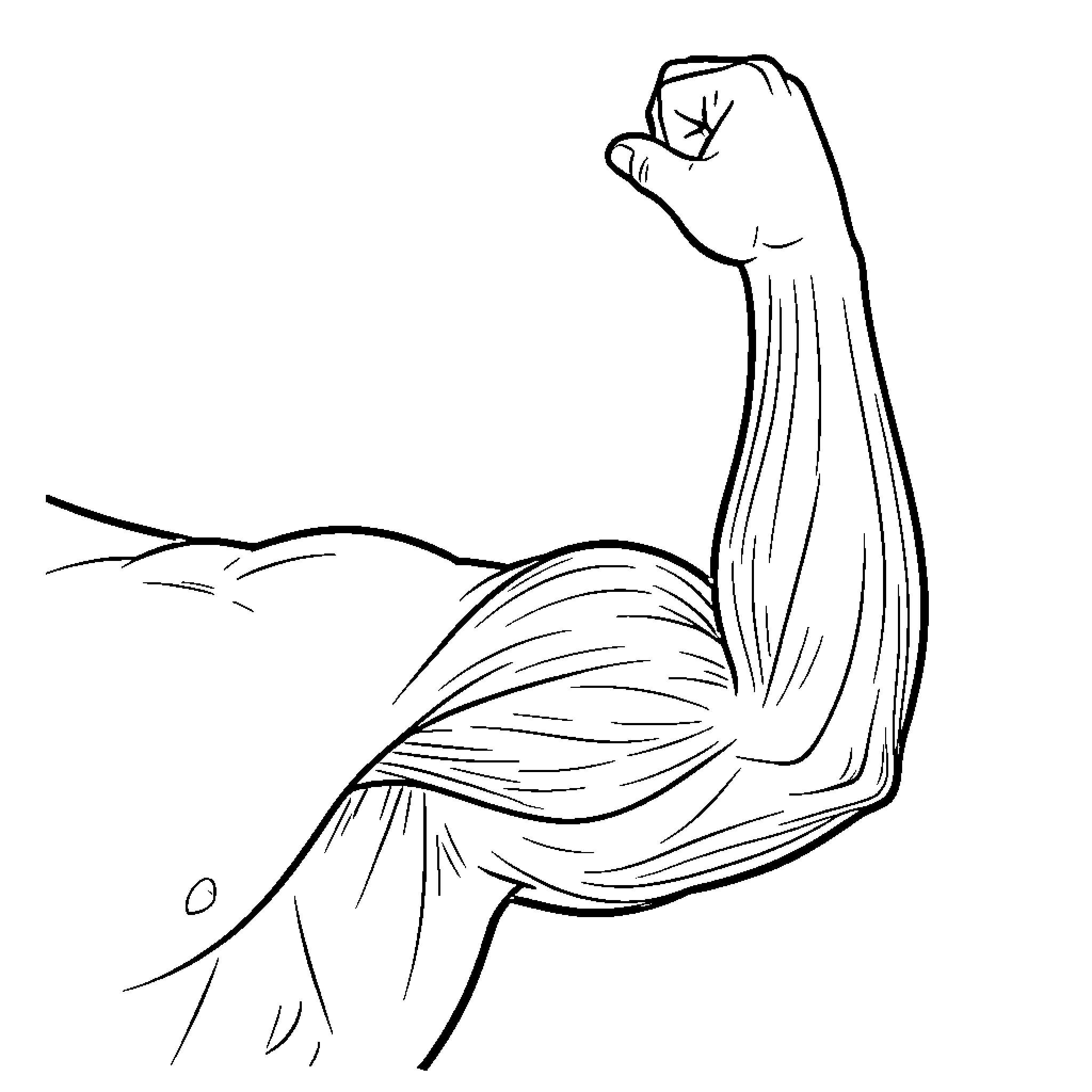 Deltoid Muscle Flexing in Monochrome Coloring Page (free black-and-white line drawing printable PDF for all, from beginners to advanced learners, including children, teens, adults, and seniors)