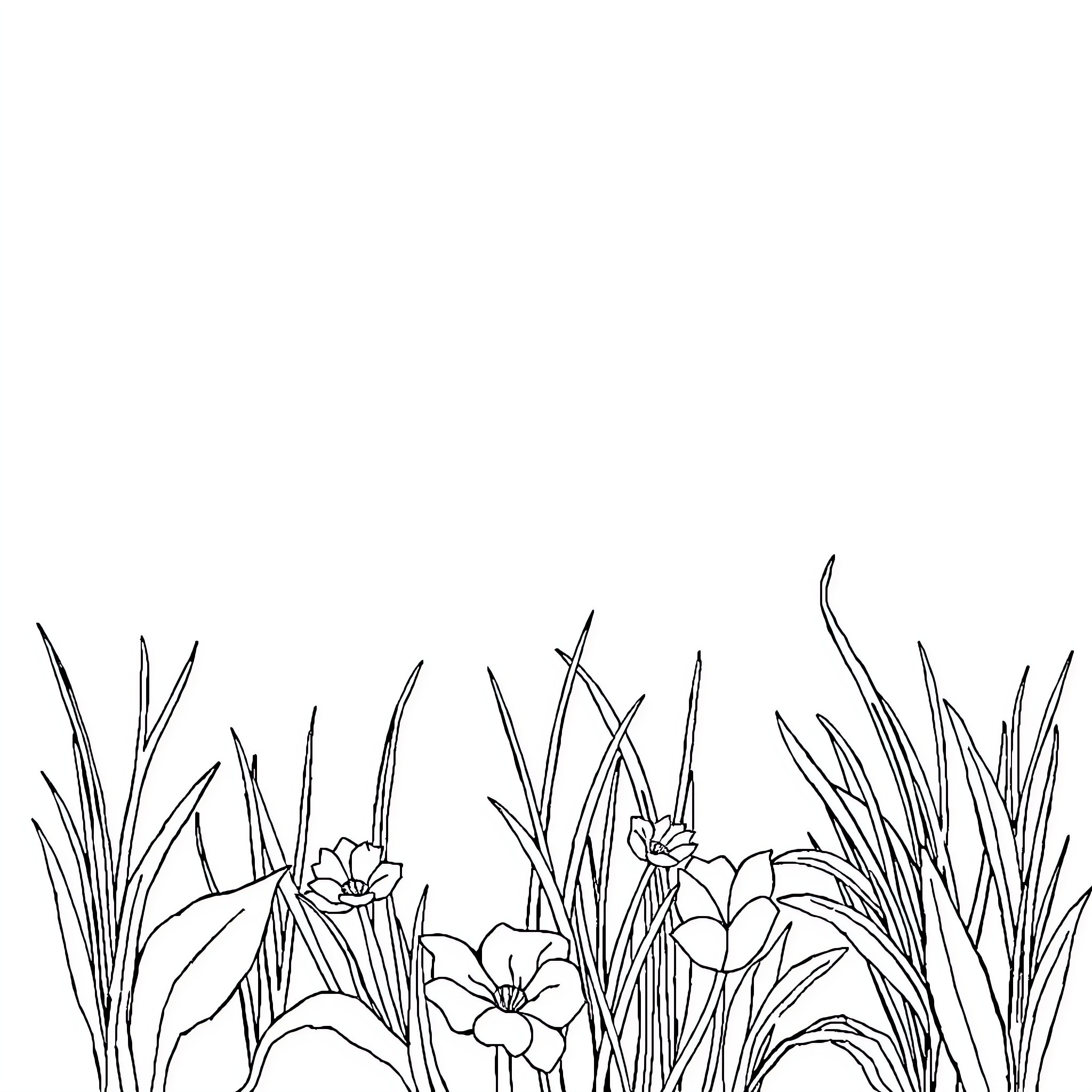 Drawing of a vibrant garden with flowers and plants Coloring Page (free black-and-white line drawing printable PDF for all, from beginners to advanced learners, including children, teens, adults, and seniors)