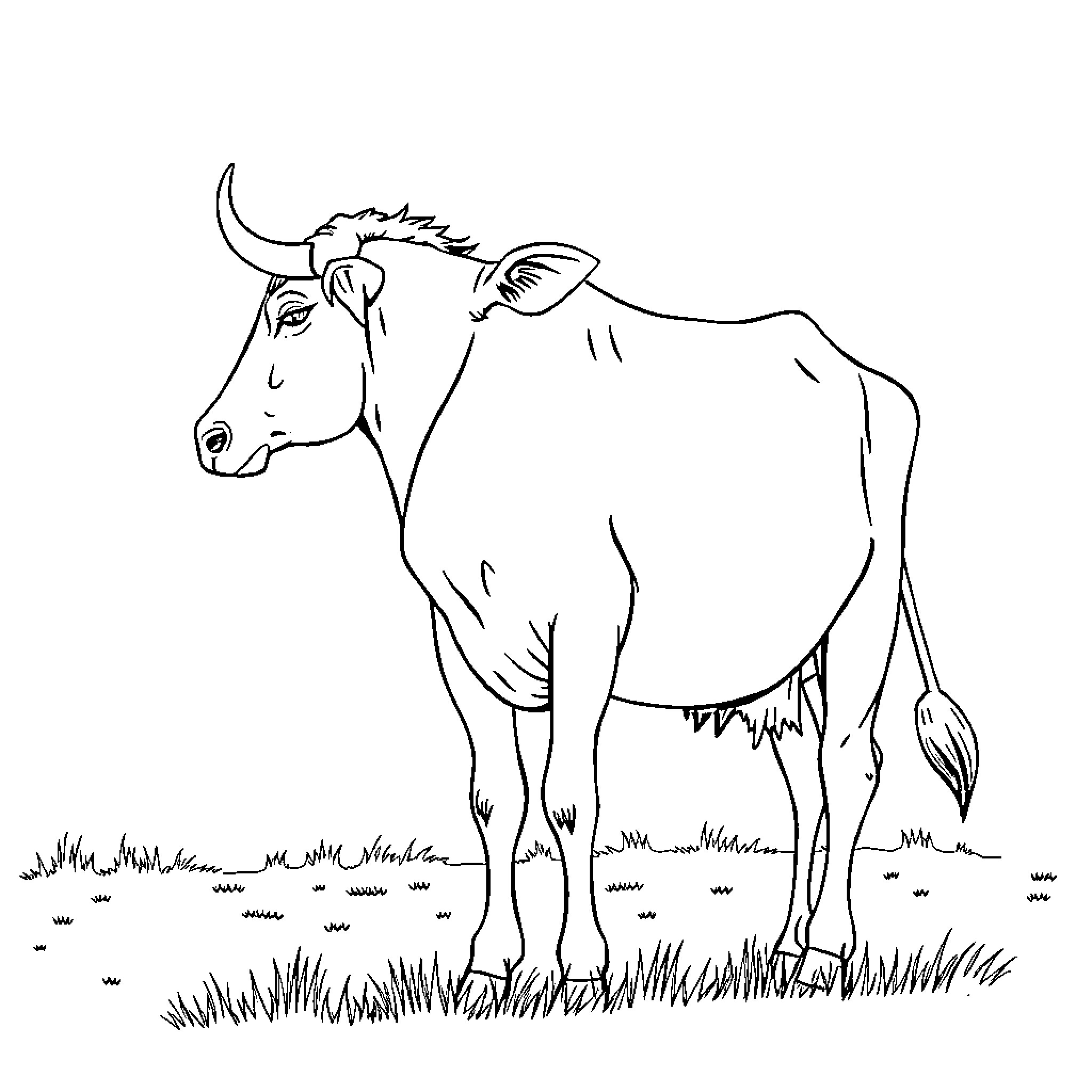 Truck with cattle grazing in the field Coloring Page (free black-and-white line drawing printable PDF for all, from beginners to advanced learners, including children, teens, adults, and seniors)