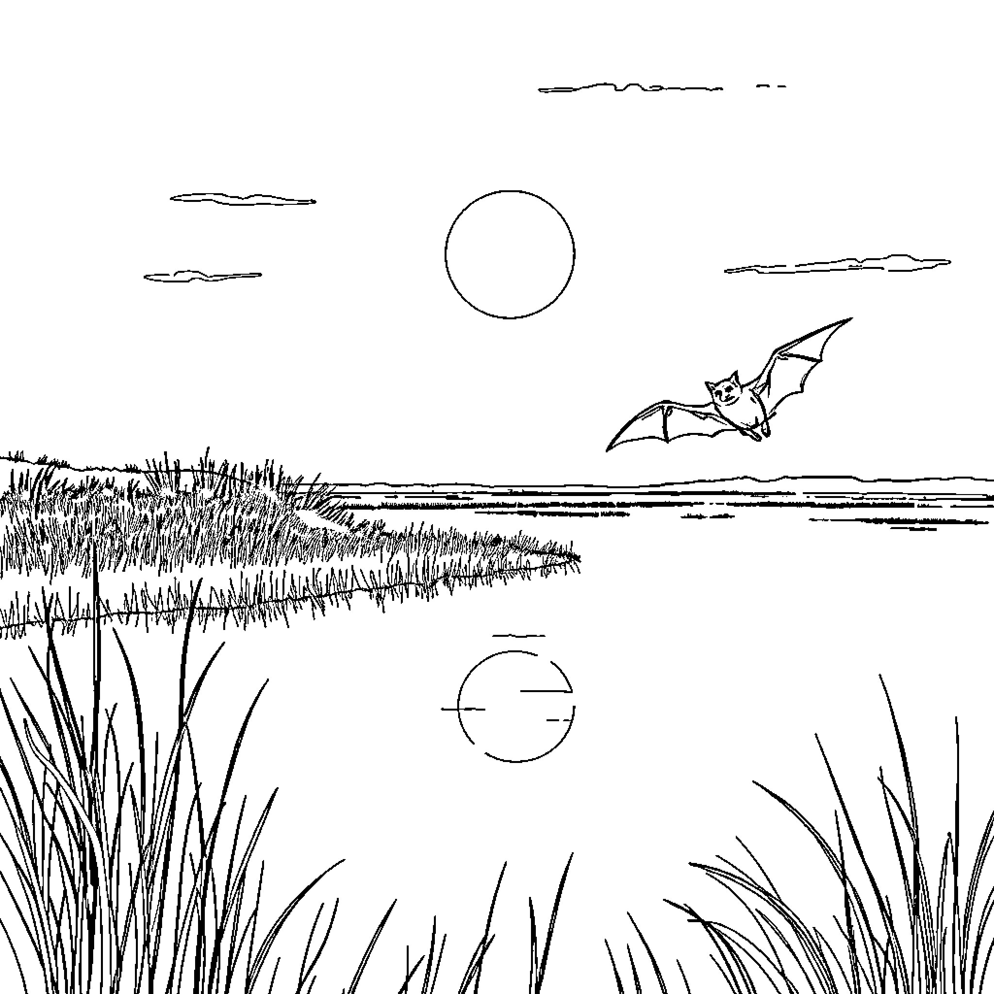 Bat flying over tranquil lake at night Coloring Page (free black-and-white line drawing printable PDF for all, from beginners to advanced learners, including children, teens, adults, and seniors)