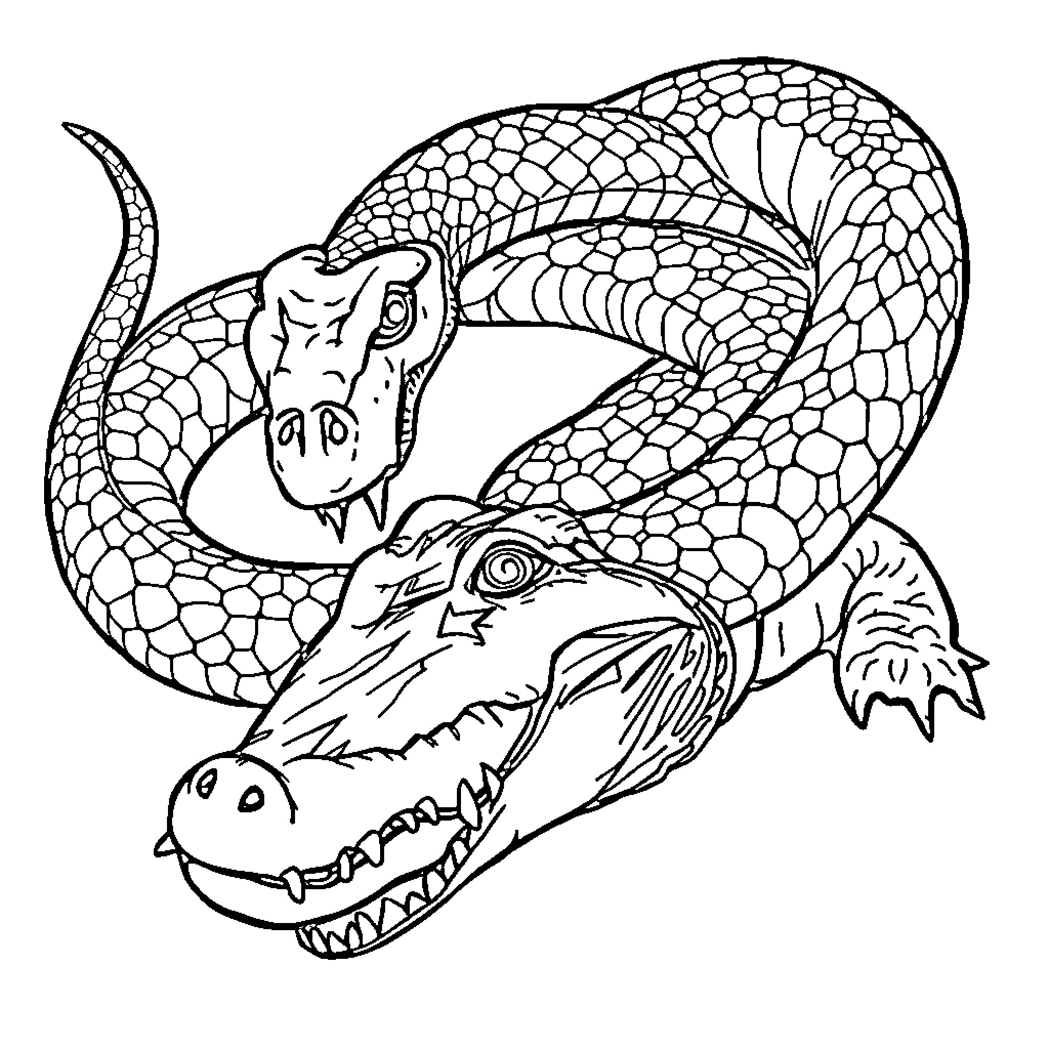 Snake coiled and ready to strike predatory prey Coloring Page (free black-and-white line drawing printable PDF for all, from beginners to advanced learners, including children, teens, adults, and seniors)