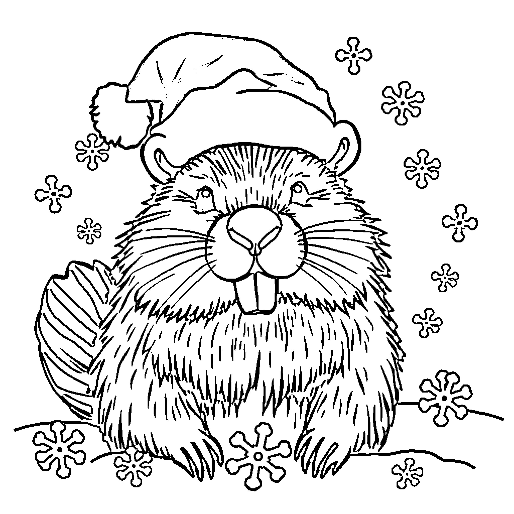 Beaver wearing a Santa hat surrounded by snowflakes Coloring Page (free black-and-white line drawing printable PDF for all, from beginners to advanced learners, including children, teens, adults, and seniors)