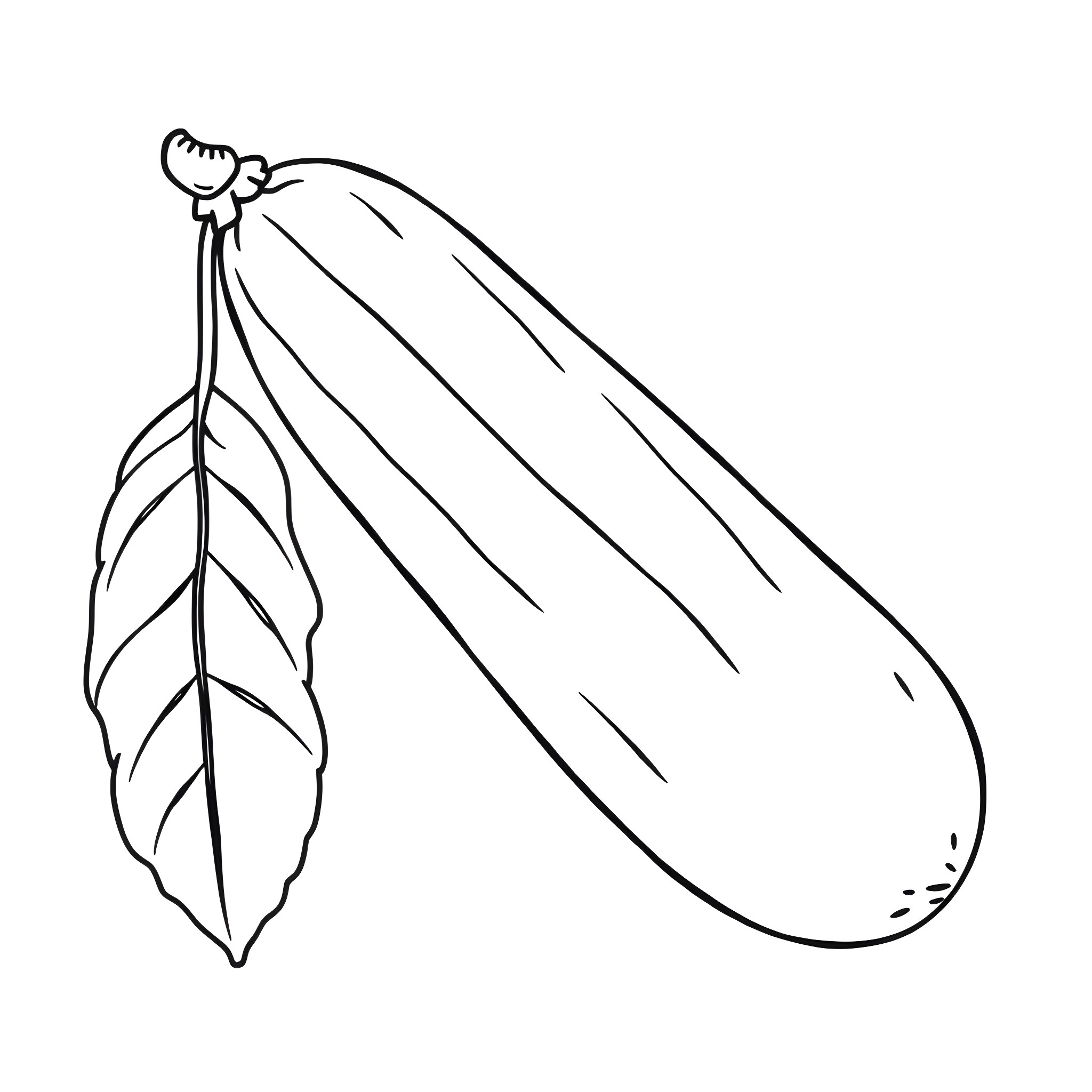Cucumber with leaf illustration Coloring Page (free black-and-white line drawing printable PDF for all, from beginners to advanced learners, including children, teens, adults, and seniors)