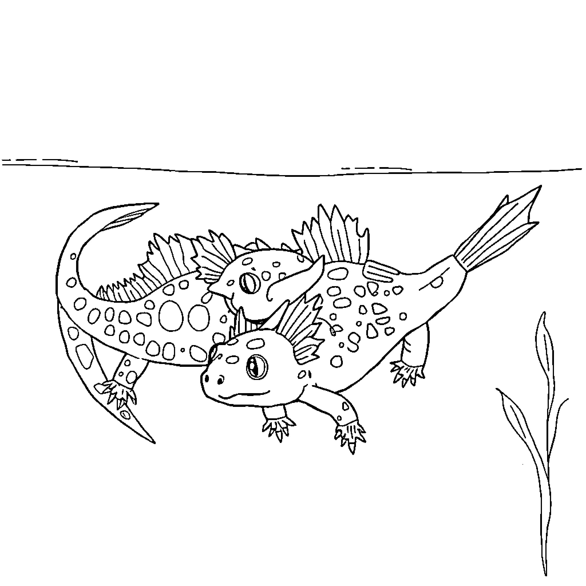 Axolotl swimming playfully in the water Coloring Page (free black-and-white line drawing printable PDF for all, from beginners to advanced learners, including children, teens, adults, and seniors)