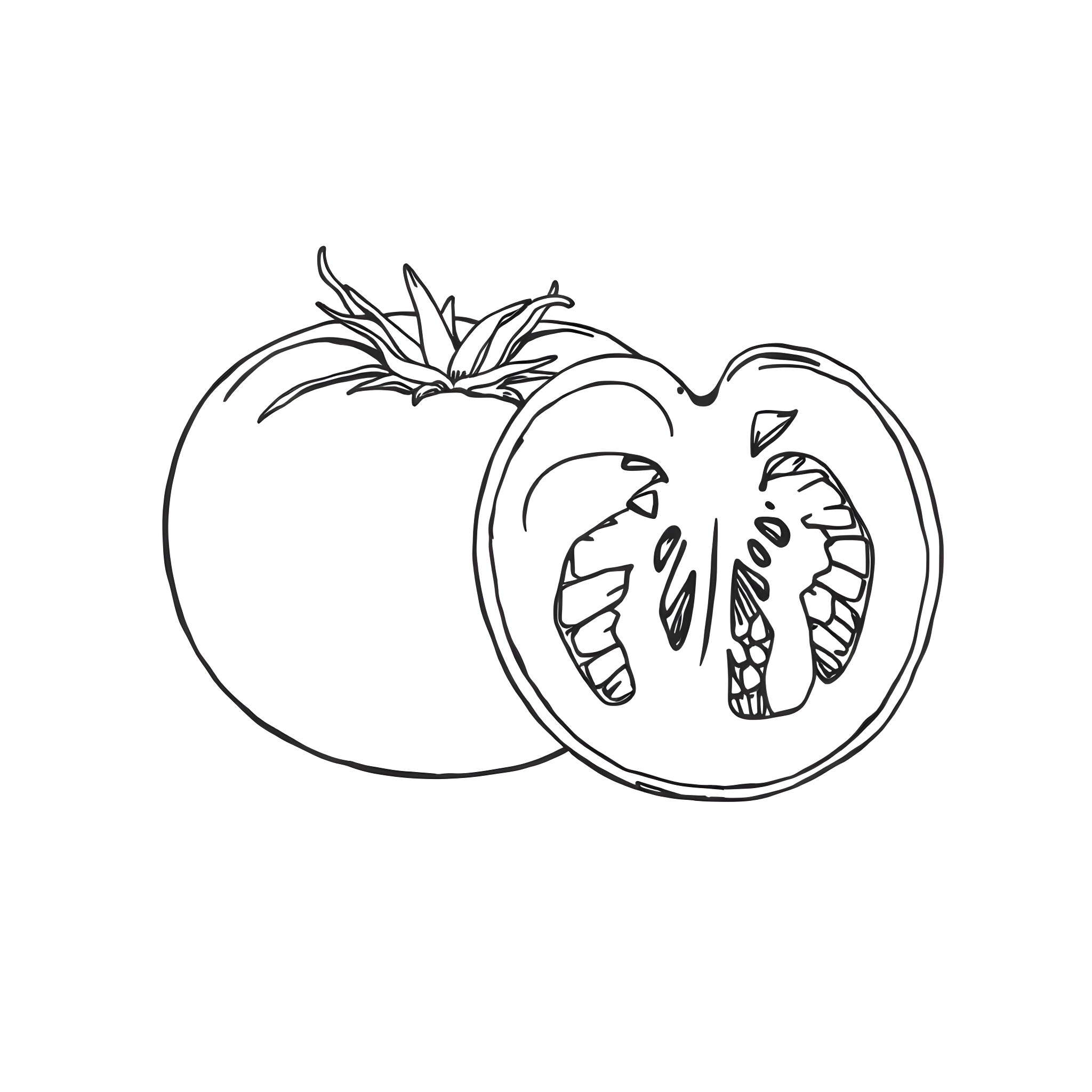 Tomato halved and sliced Coloring Page (free black-and-white line drawing printable PDF for all, from beginners to advanced learners, including children, teens, adults, and seniors)