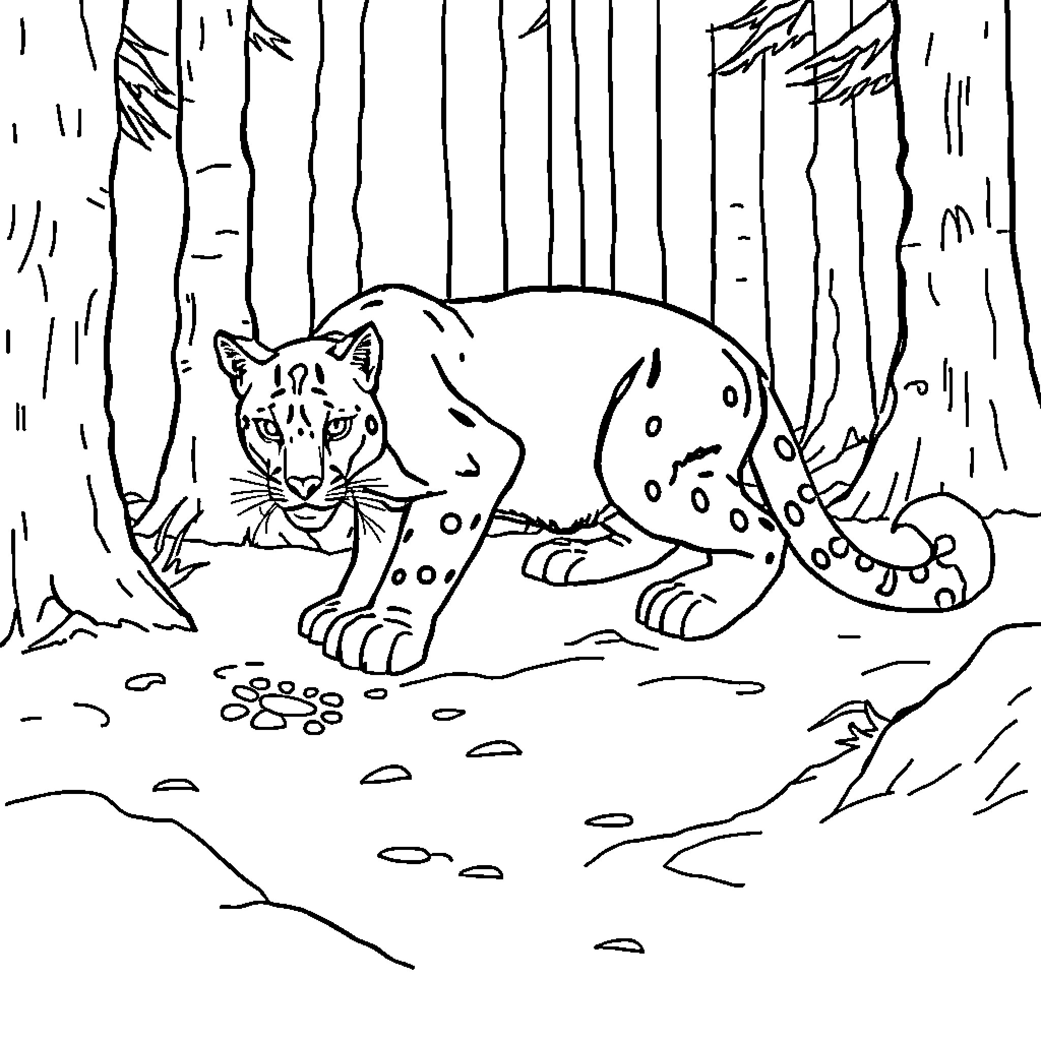 Lion prowling cautiously through the forest Coloring Page (free black-and-white line drawing printable PDF for all, from beginners to advanced learners, including children, teens, adults, and seniors)