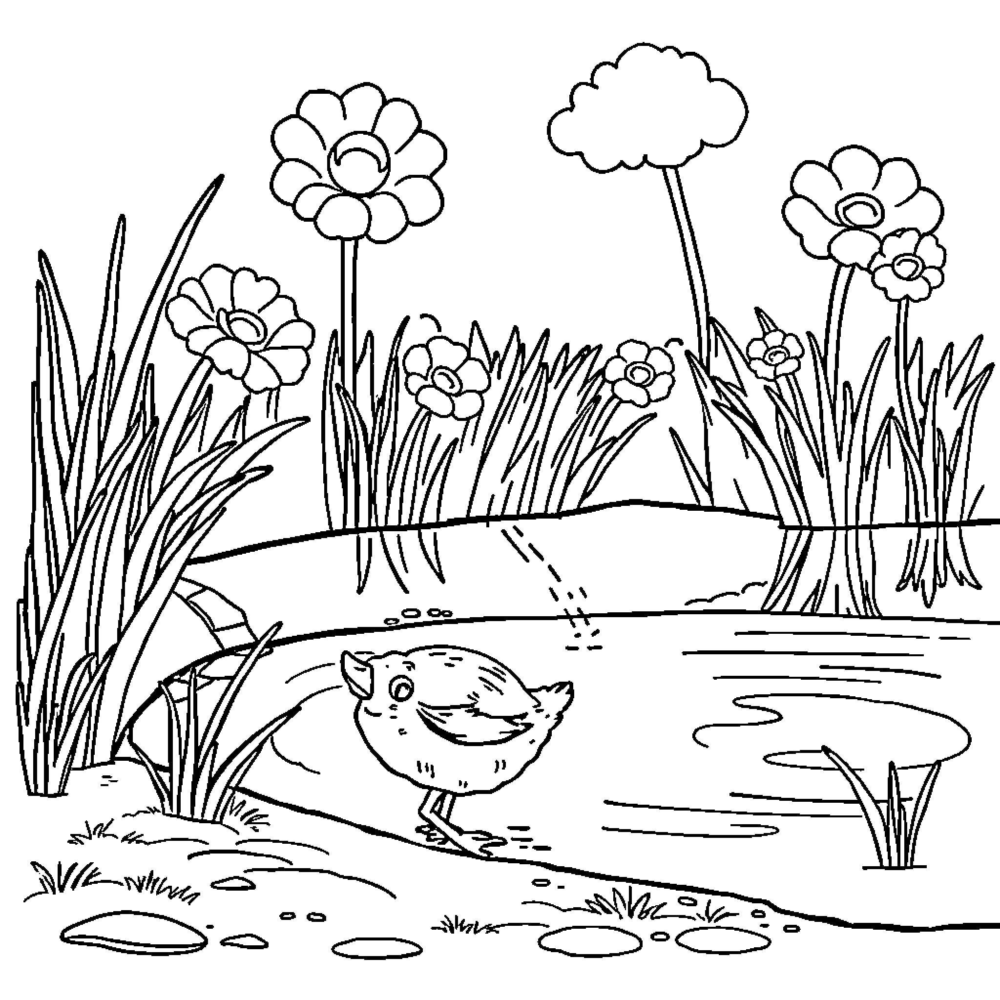 Duck exploring the serene floral pond Coloring Page (free black-and-white line drawing printable PDF for all, from beginners to advanced learners, including children, teens, adults, and seniors)