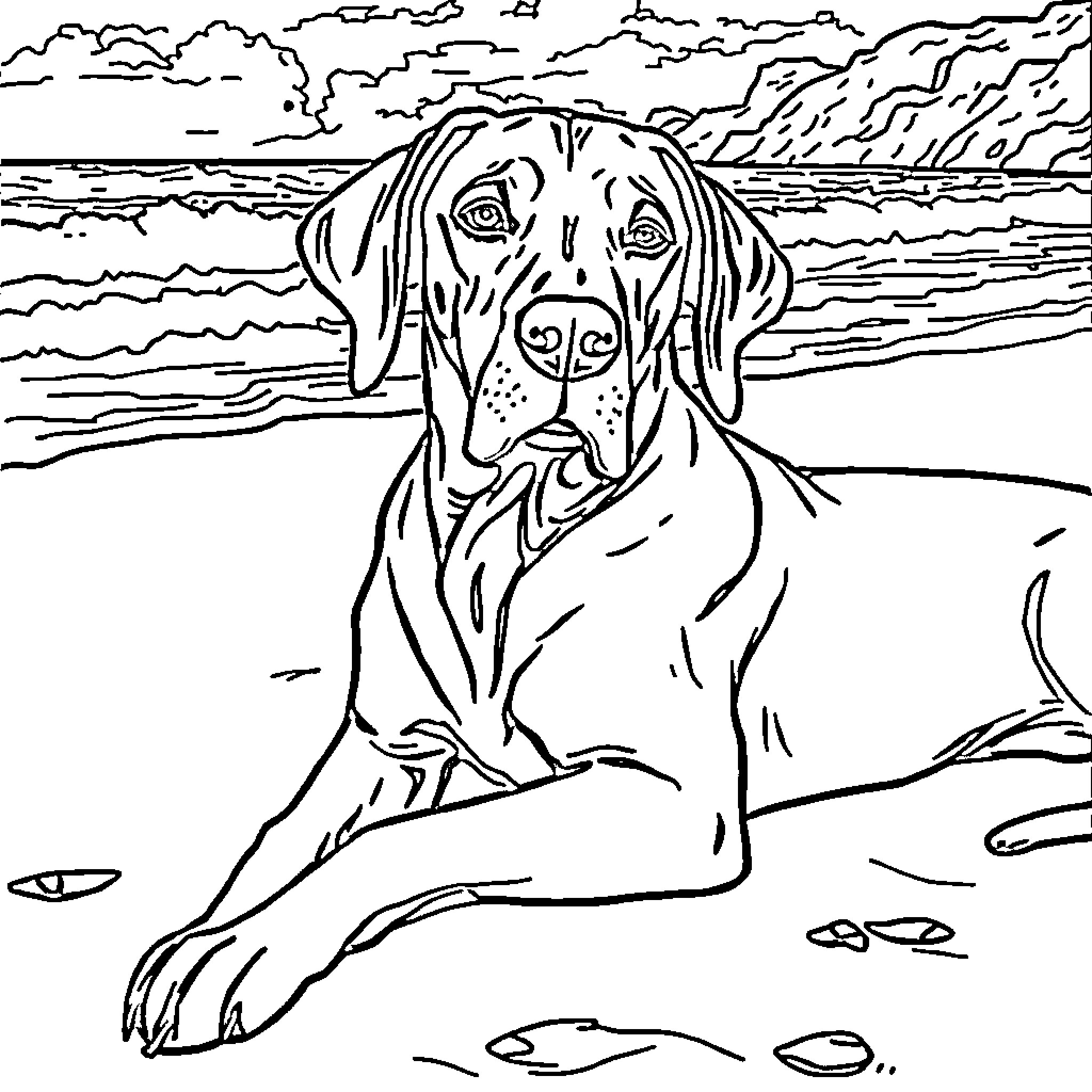 Weimaraner resting peacefully on the beach Coloring Page (free black-and-white line drawing printable PDF for all, from beginners to advanced learners, including children, teens, adults, and seniors)