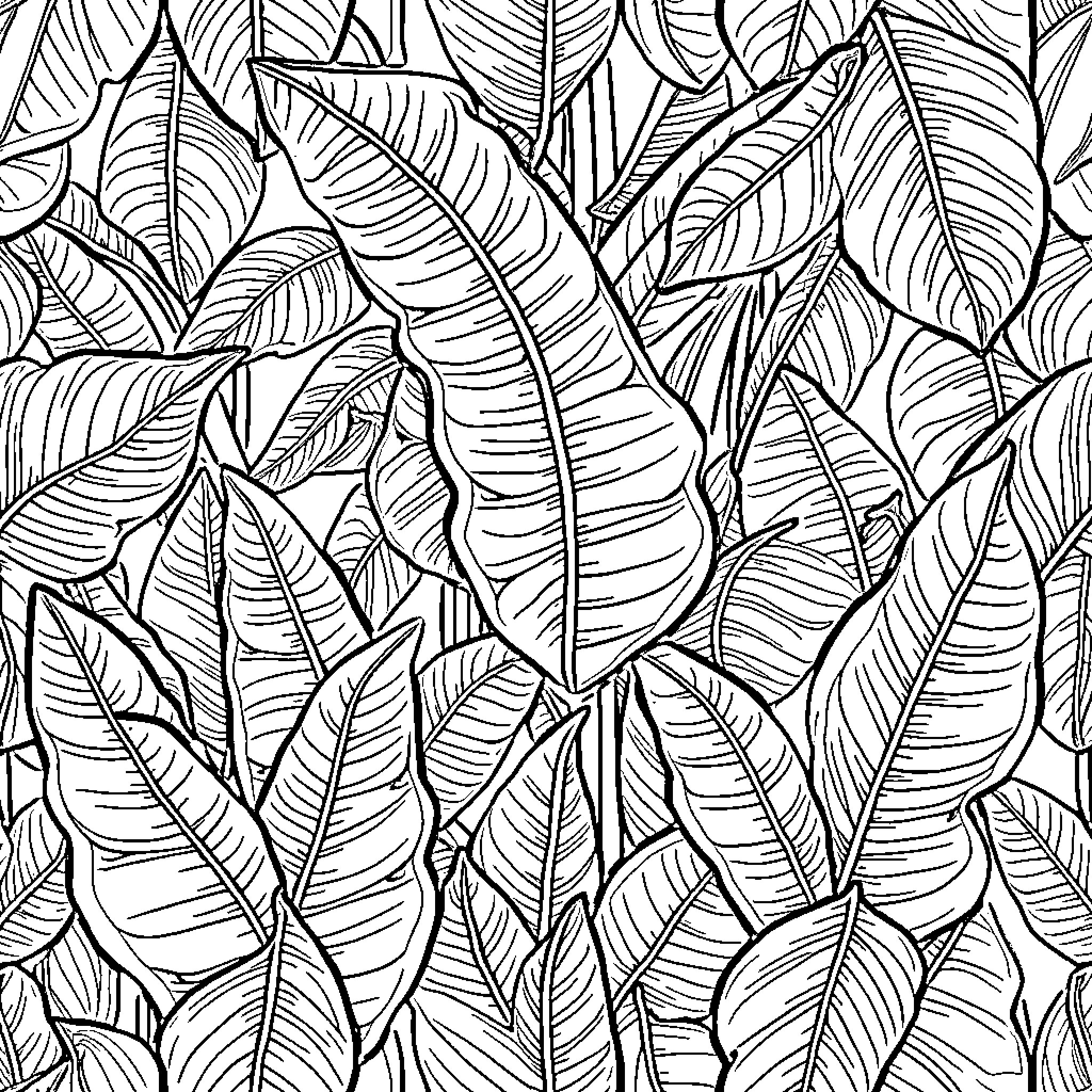 Banana Leaf Patterns and Textures Coloring Page (free black-and-white line drawing printable PDF for all, from beginners to advanced learners, including children, teens, adults, and seniors)