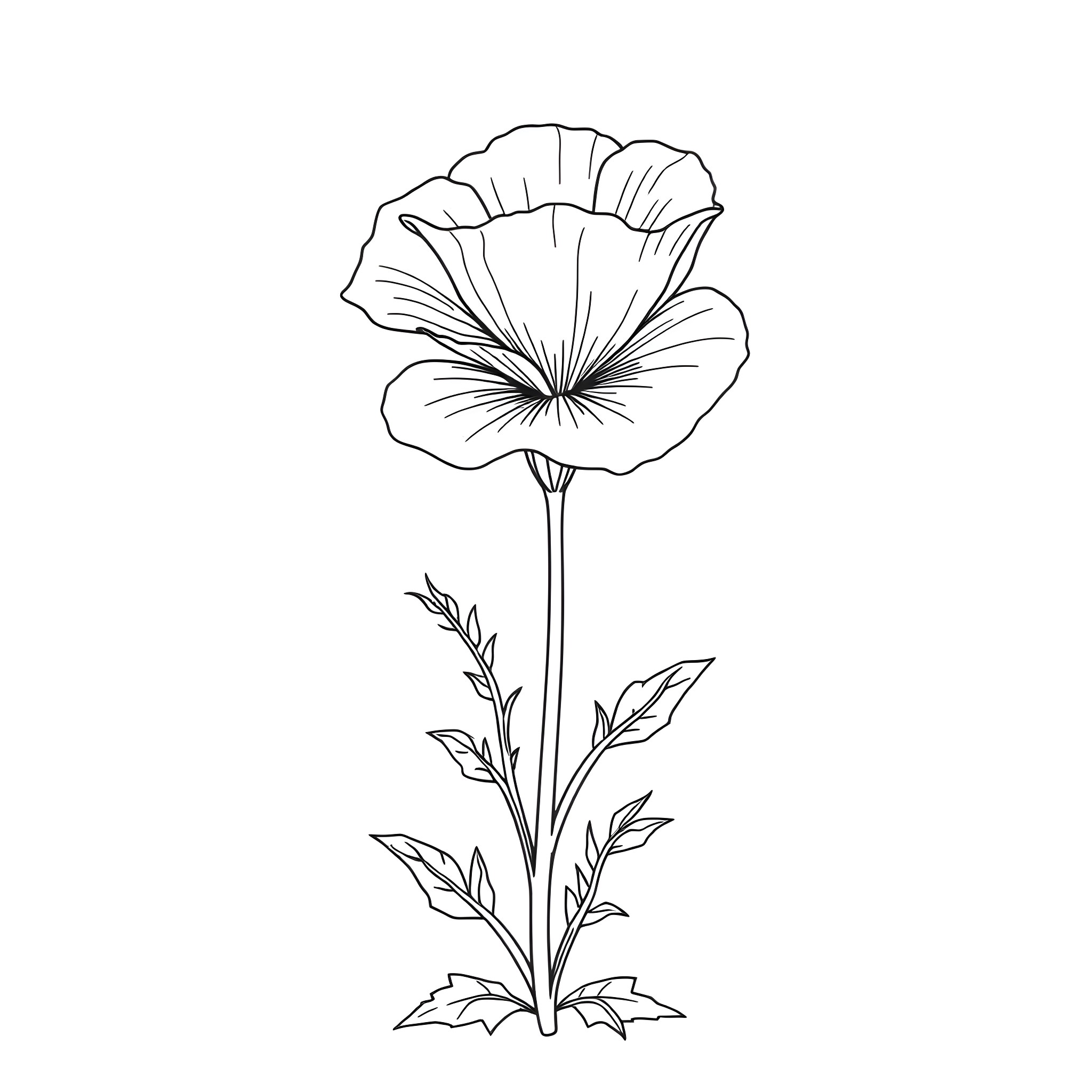 Buttercup - Elegant Floral Silhouette Coloring Page (free black-and-white line drawing printable PDF for all, from beginners to advanced learners, including children, teens, adults, and seniors)