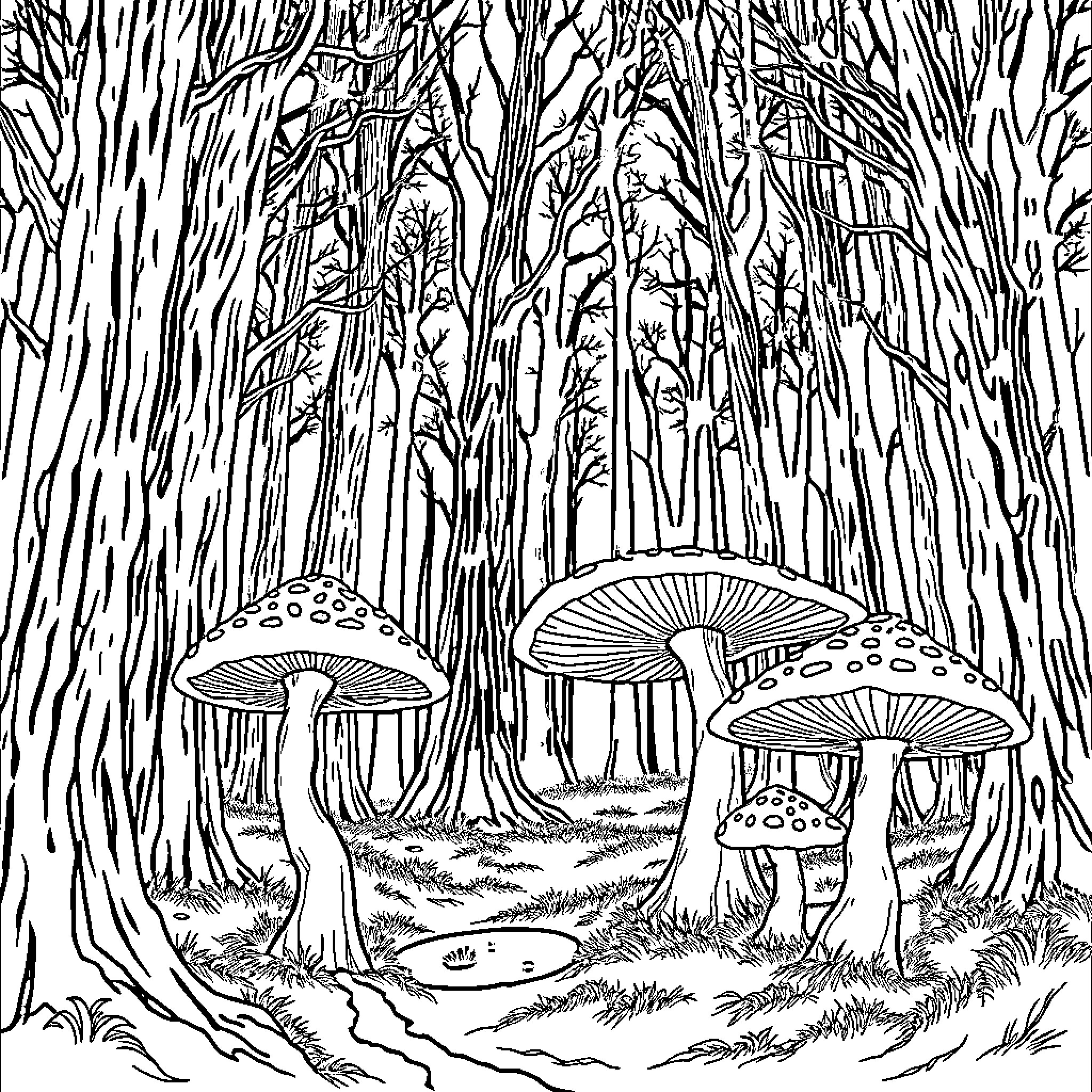 Mushroom Forest Exploration Coloring Page (free black-and-white line drawing printable PDF for all, from beginners to advanced learners, including children, teens, adults, and seniors)