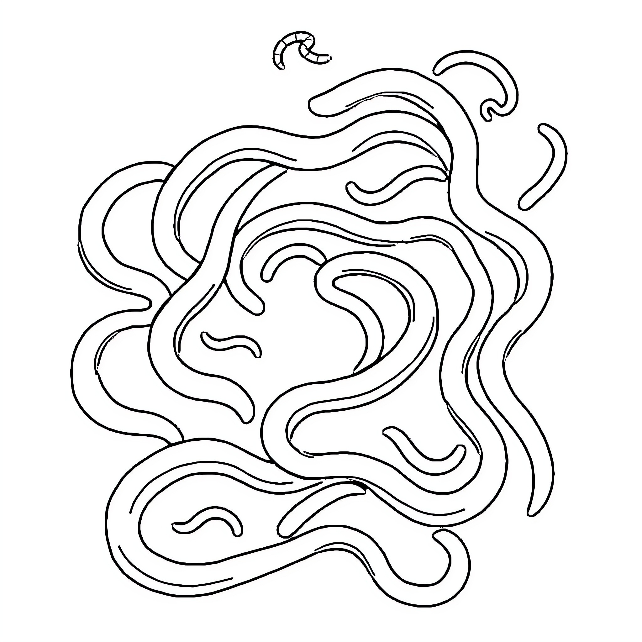 Maze of Winding Shapes Coloring Page (free black-and-white line drawing printable PDF for all, from beginners to advanced learners, including children, teens, adults, and seniors)