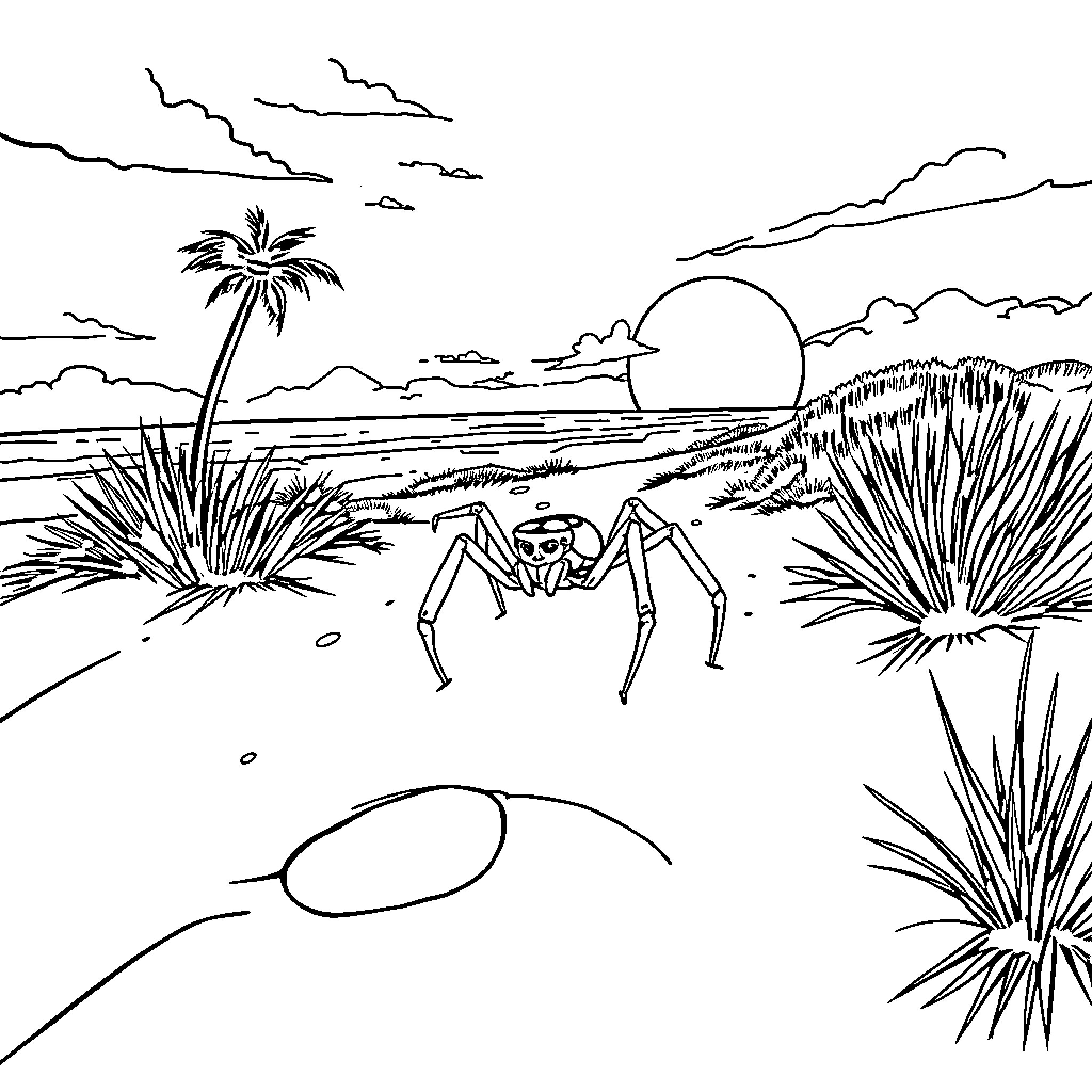 Spider exploring a tropical beach scene Coloring Page (free black-and-white line drawing printable PDF for all, from beginners to advanced learners, including children, teens, adults, and seniors)