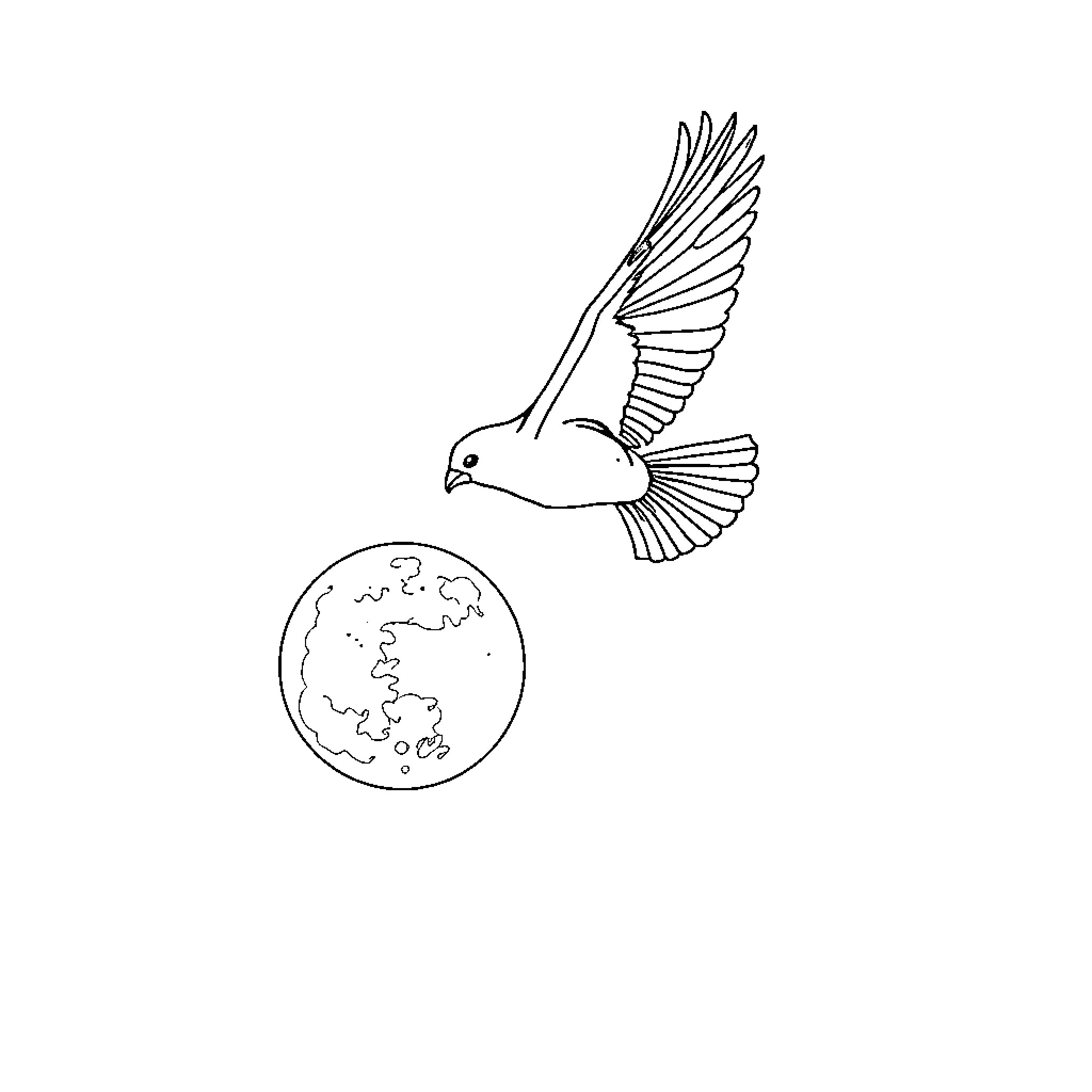 Bird soaring over the globe Coloring Page (free black-and-white line drawing printable PDF for all, from beginners to advanced learners, including children, teens, adults, and seniors)