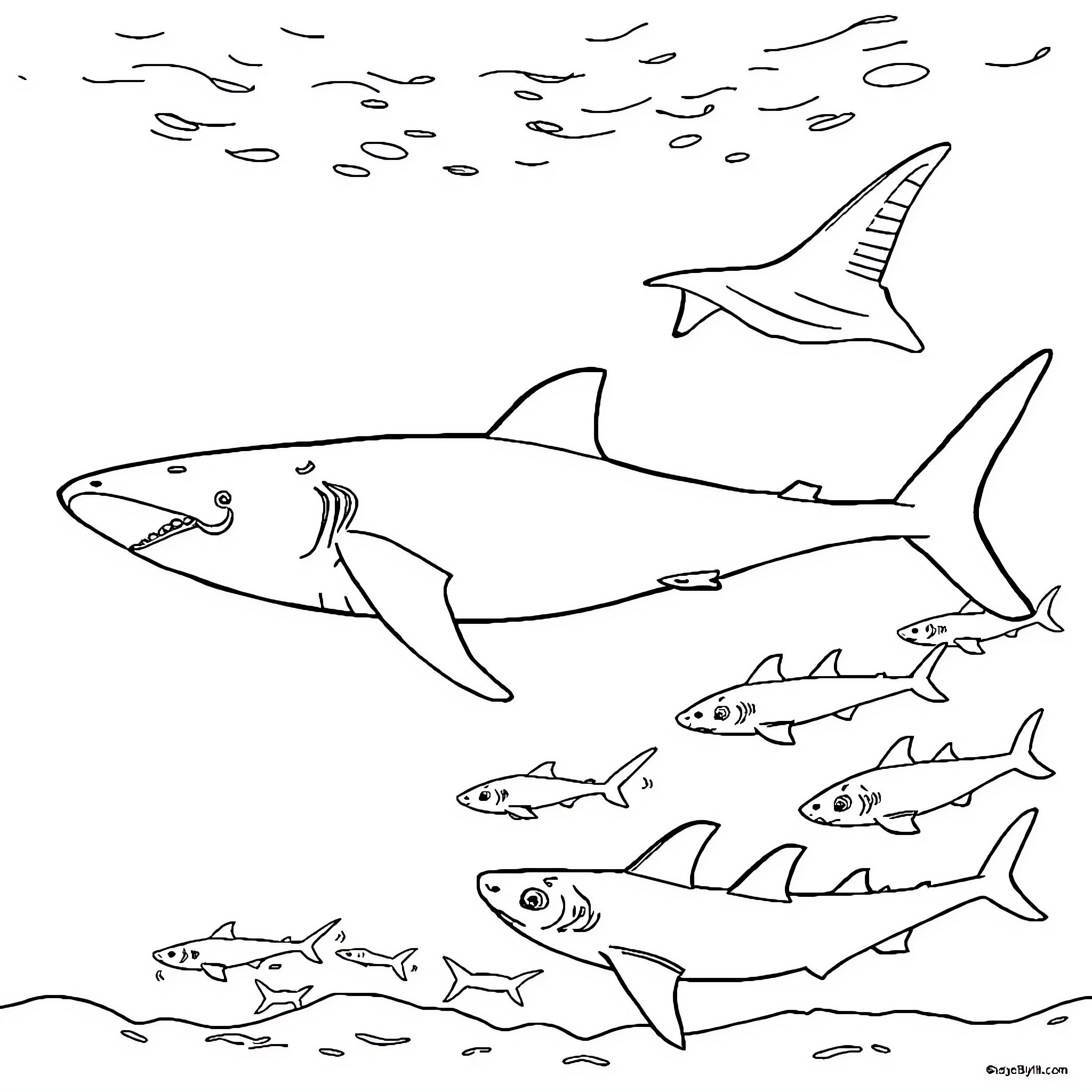 Shark families swimming in the ocean Coloring Page (free black-and-white line drawing printable PDF for all, from beginners to advanced learners, including children, teens, adults, and seniors)