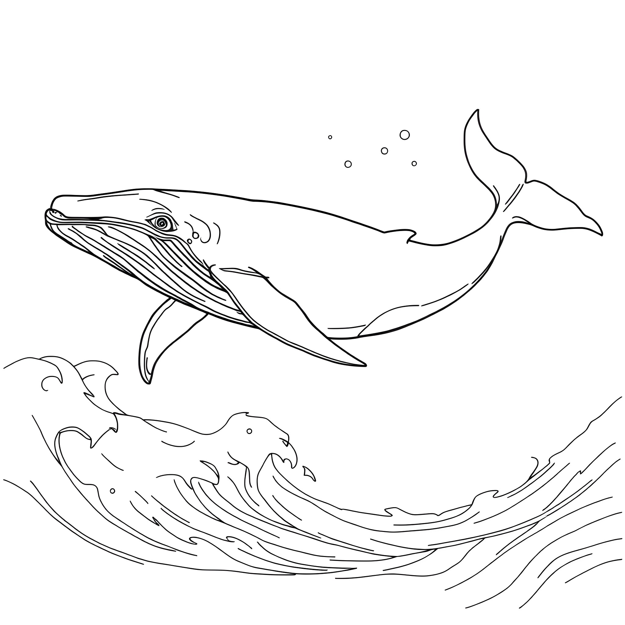 Whale swimming in the ocean Coloring Page (free black-and-white line drawing printable PDF for all, from beginners to advanced learners, including children, teens, adults, and seniors)