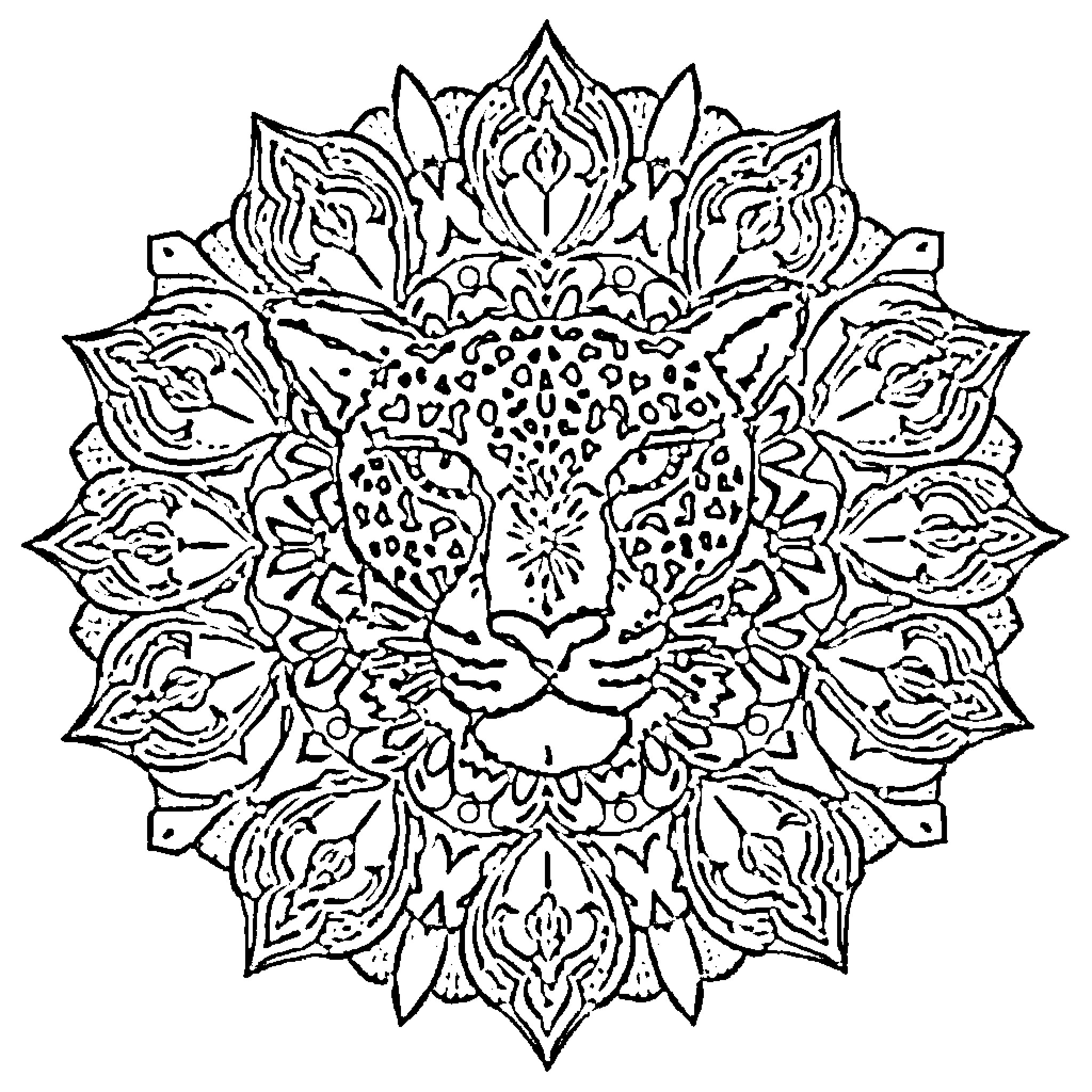 Cheetah in ornate mandala-style design Coloring Page (free black-and-white line drawing printable PDF for all, from beginners to advanced learners, including children, teens, adults, and seniors)