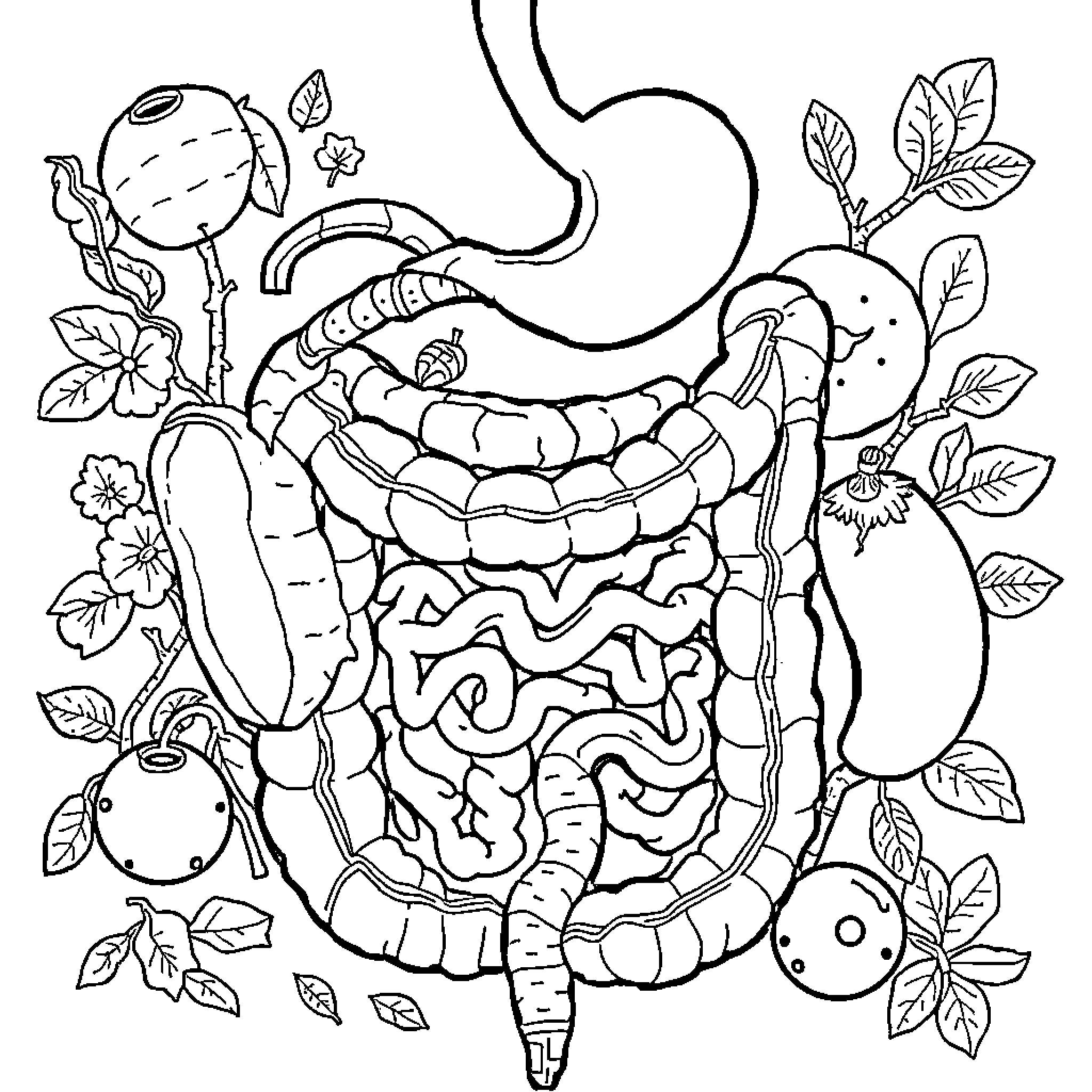 Digestive System with Intricate Anatomical Illustration Coloring Page (free black-and-white line drawing printable PDF for all, from beginners to advanced learners, including children, teens, adults, and seniors)