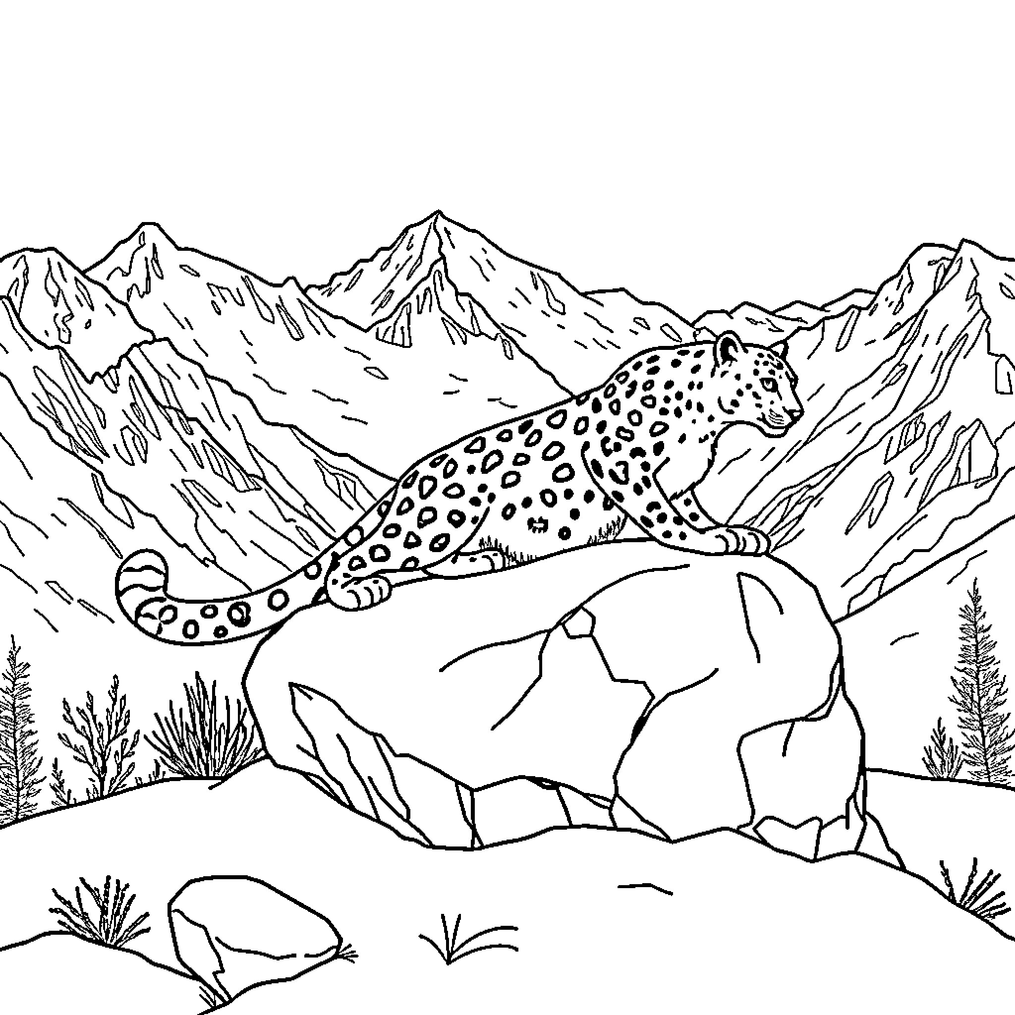 Snow Leopard Resting on a Rocky Mountainous Landscape Coloring Page (free black-and-white line drawing printable PDF for all, from beginners to advanced learners, including children, teens, adults, and seniors)