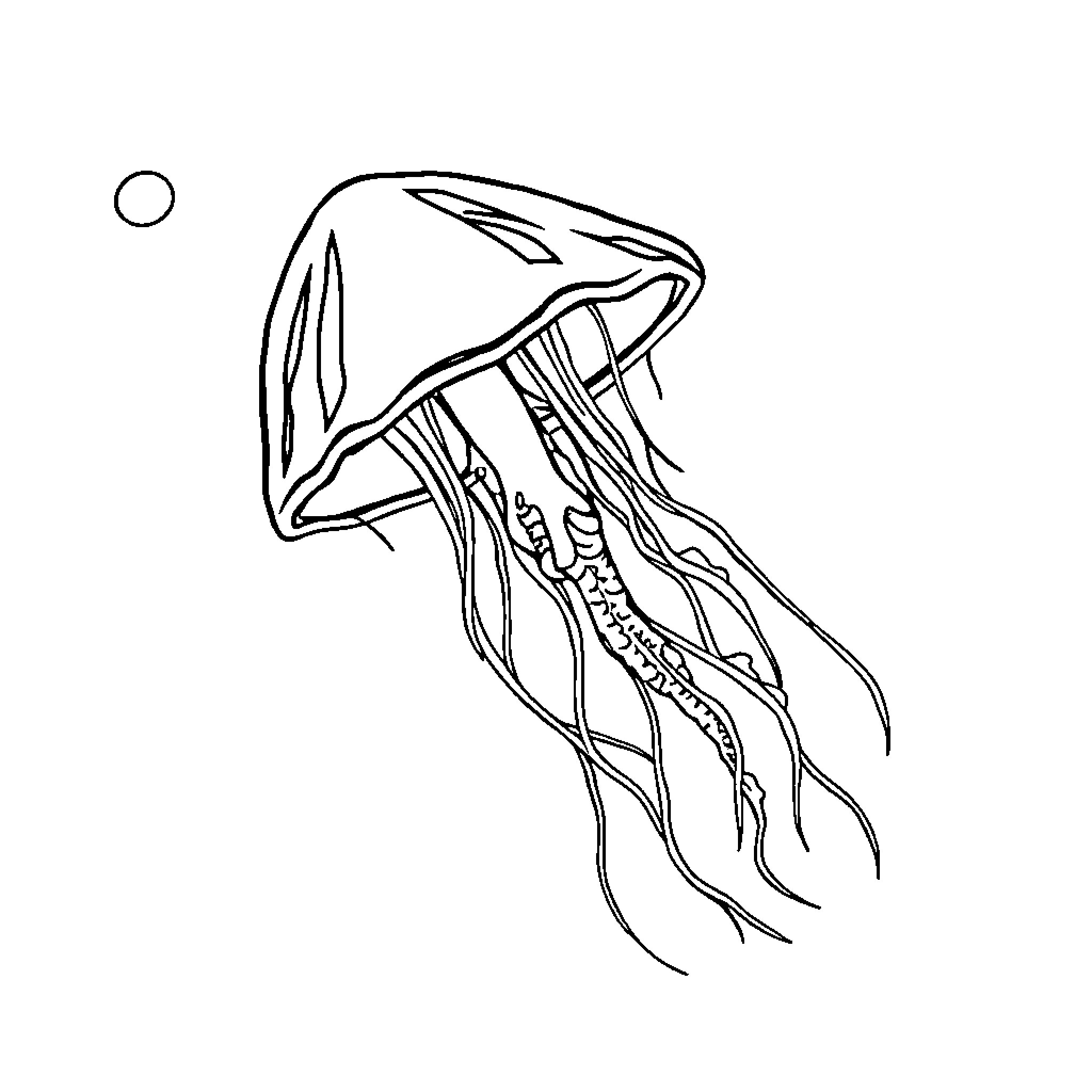 Jellyfish swimming gracefully in the sea Coloring Page (free black-and-white line drawing printable PDF for all, from beginners to advanced learners, including children, teens, adults, and seniors)