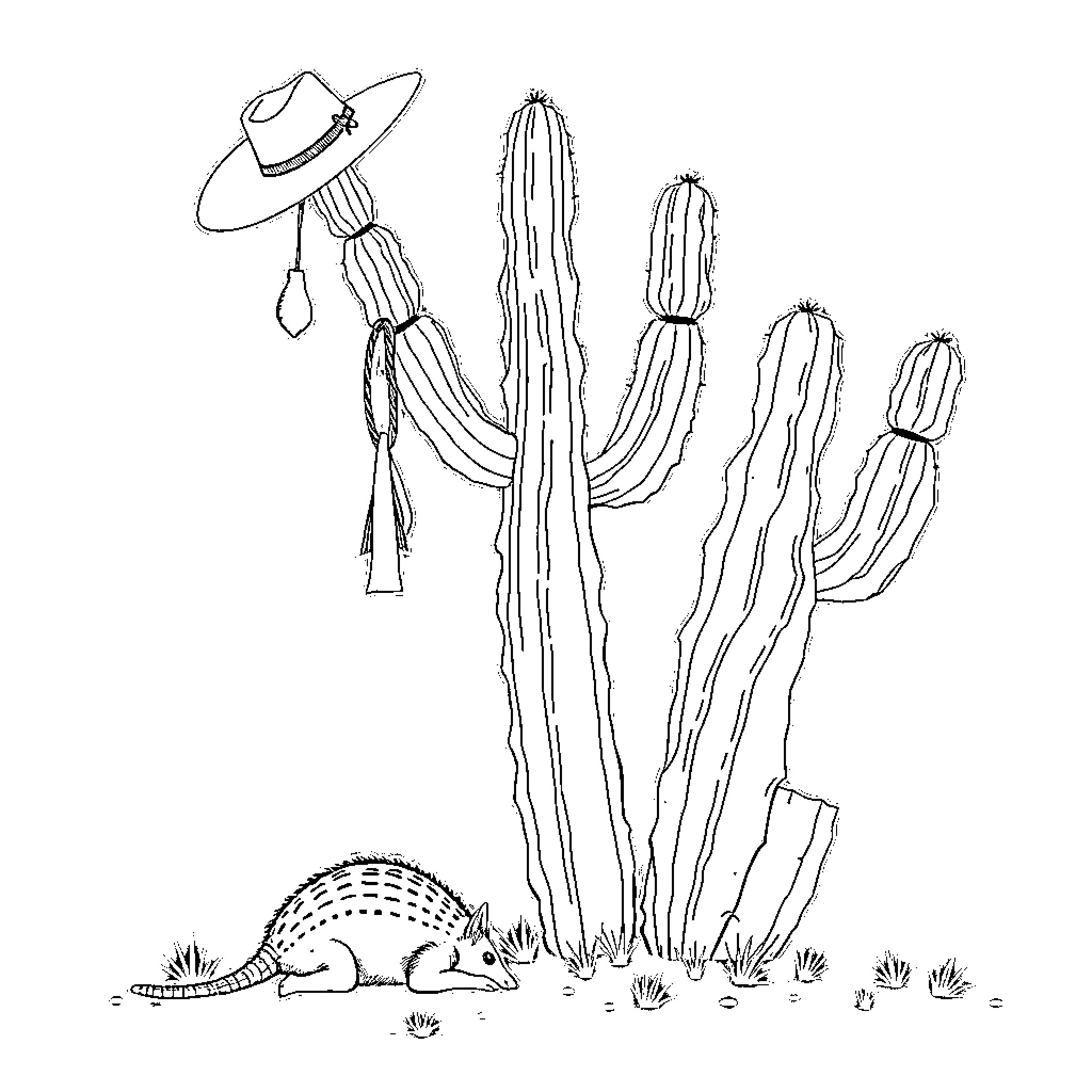 Ocotillo with Cowboy Hat and Armadillo Coloring Page (free black-and-white line drawing printable PDF for all, from beginners to advanced learners, including children, teens, adults, and seniors)