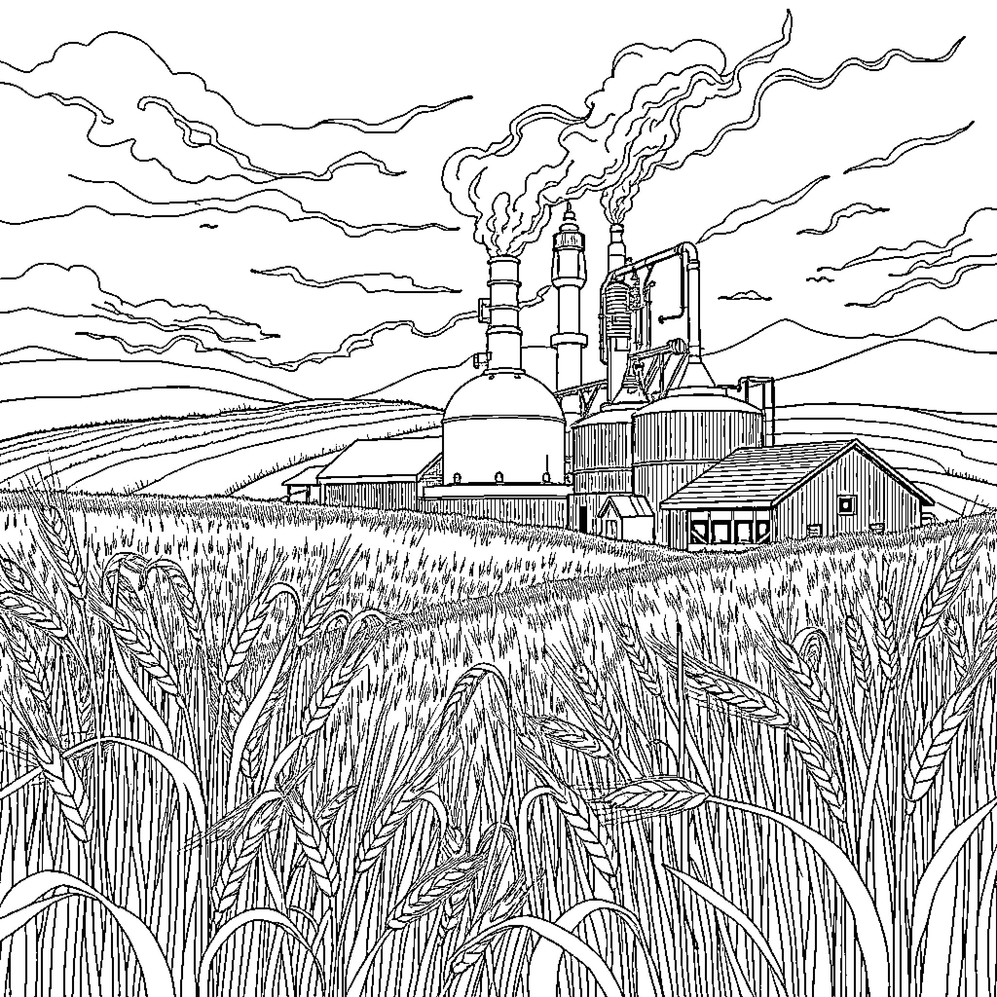 Distillery Amid Wheat Field and Cloudy Sky Coloring Page (free black-and-white line drawing printable PDF for all, from beginners to advanced learners, including children, teens, adults, and seniors)