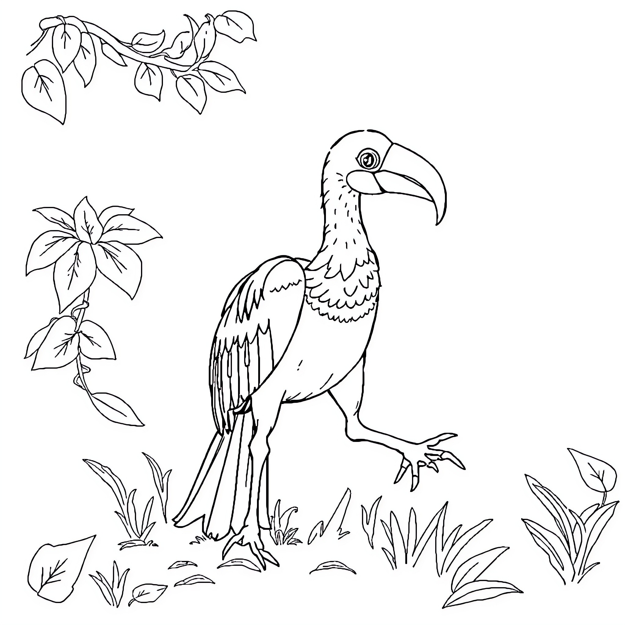 Animal bird perching amidst tropical plants Coloring Page (free black-and-white line drawing printable PDF for all, from beginners to advanced learners, including children, teens, adults, and seniors)