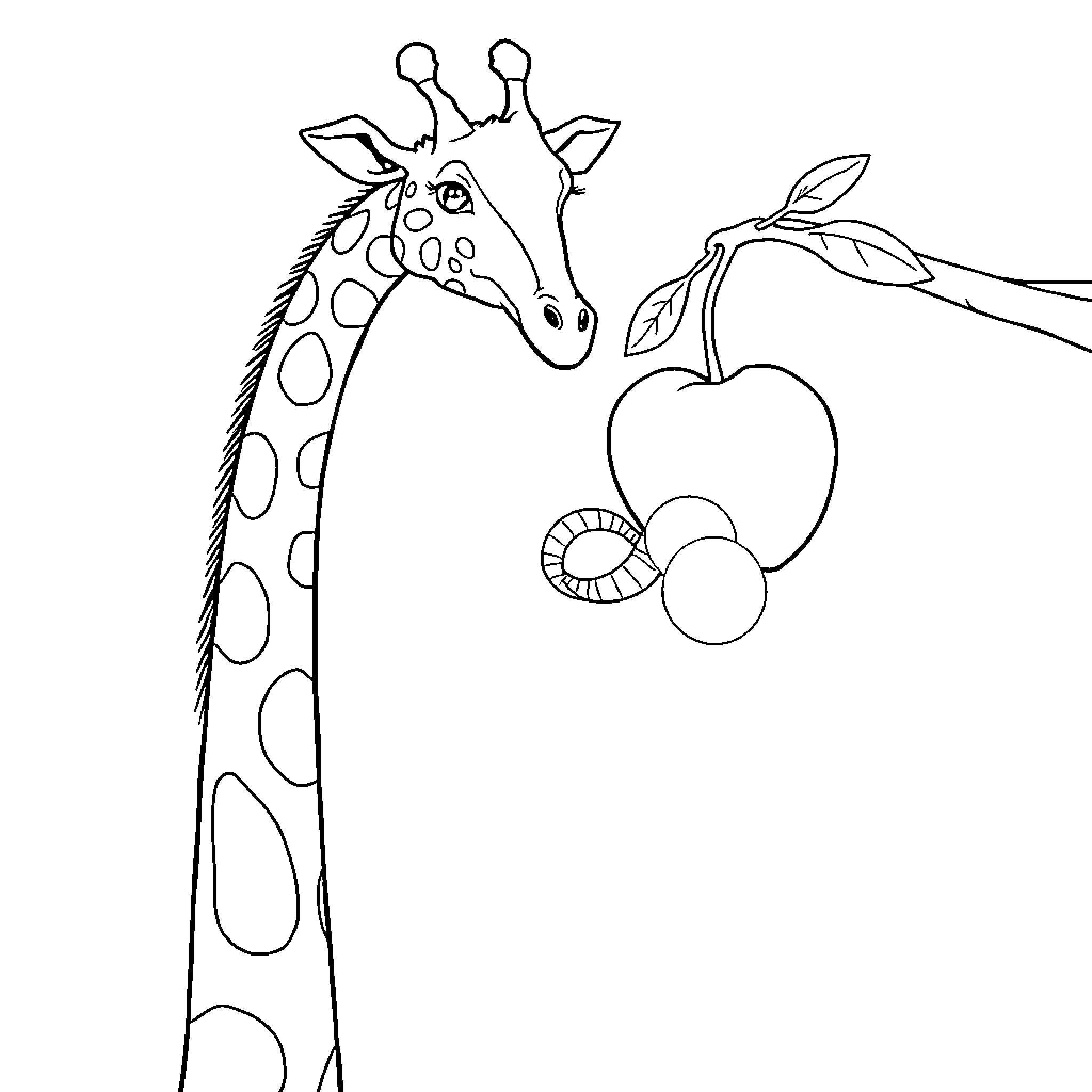 Giraffe enjoying a healthy snack Coloring Page (free black-and-white line drawing printable PDF for all, from beginners to advanced learners, including children, teens, adults, and seniors)