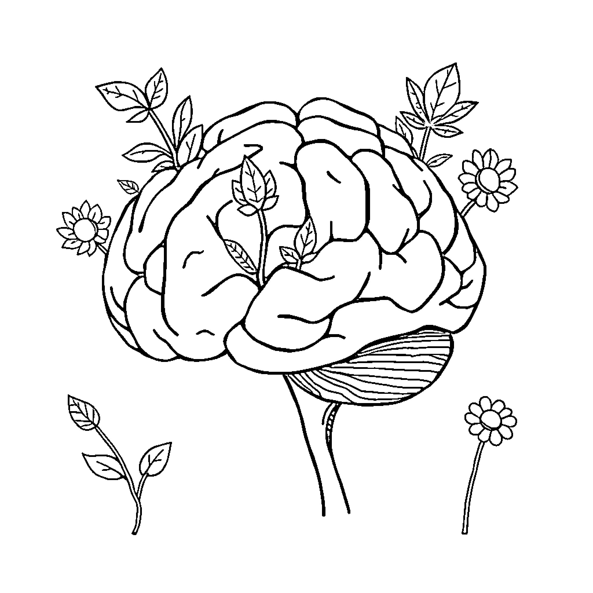 Brain blooming with floral elements Coloring Page (free black-and-white line drawing printable PDF for all, from beginners to advanced learners, including children, teens, adults, and seniors)