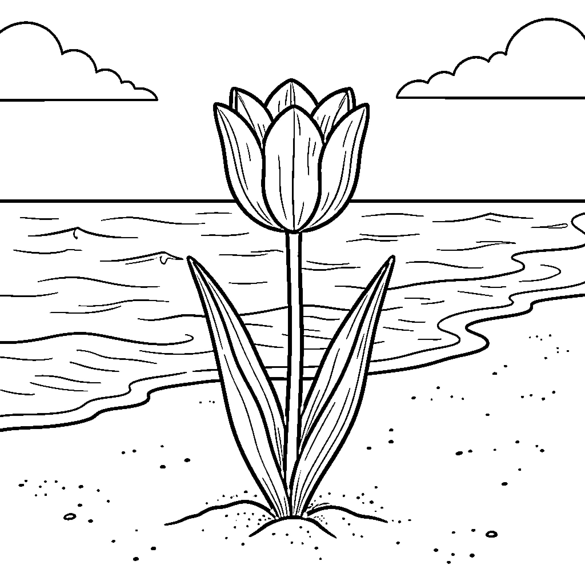 Tulip growing peacefully on a sandy beach Coloring Page (free black-and-white line drawing printable PDF for all, from beginners to advanced learners, including children, teens, adults, and seniors)