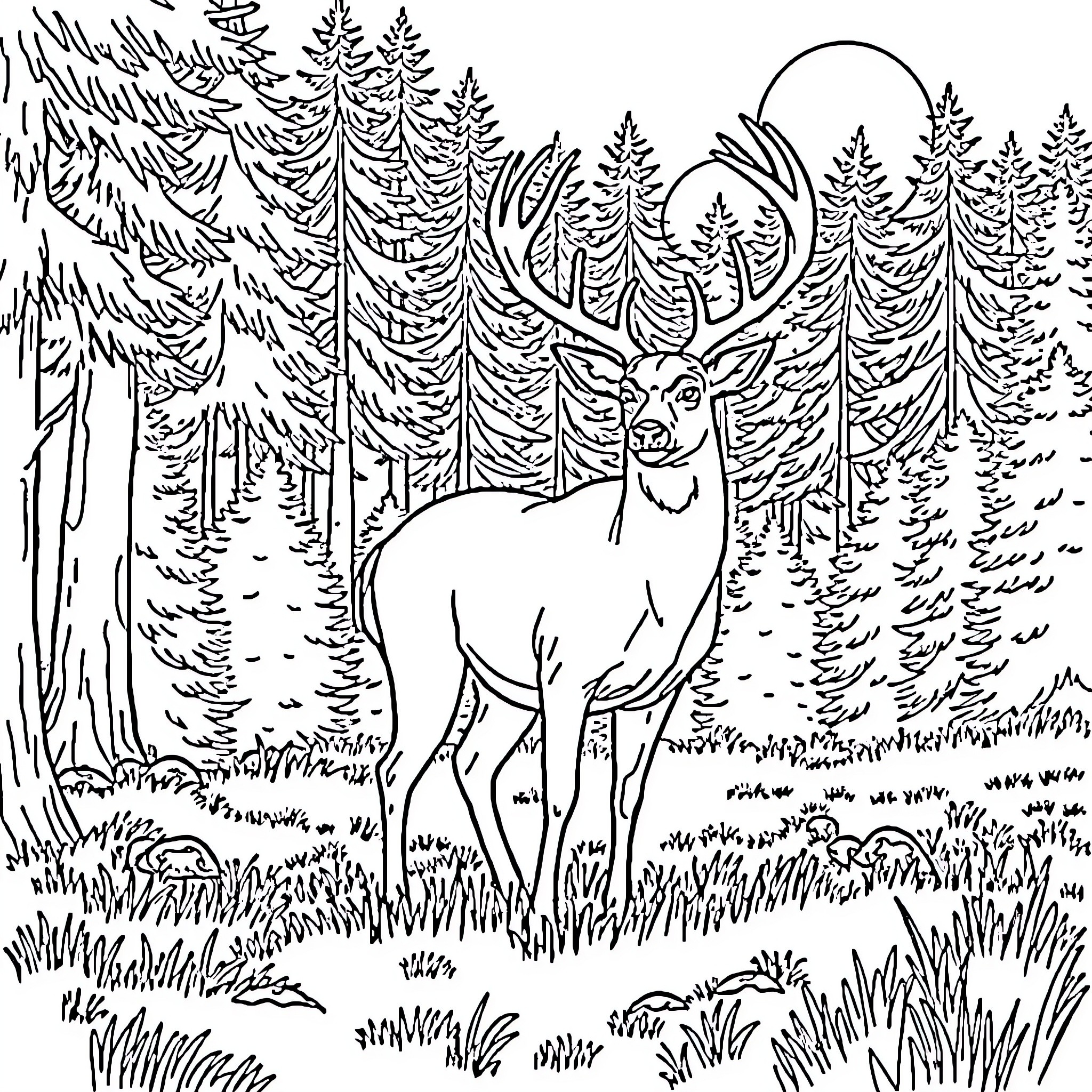 Deer standing in a forest Coloring Page (free black-and-white line drawing printable PDF for all, from beginners to advanced learners, including children, teens, adults, and seniors)