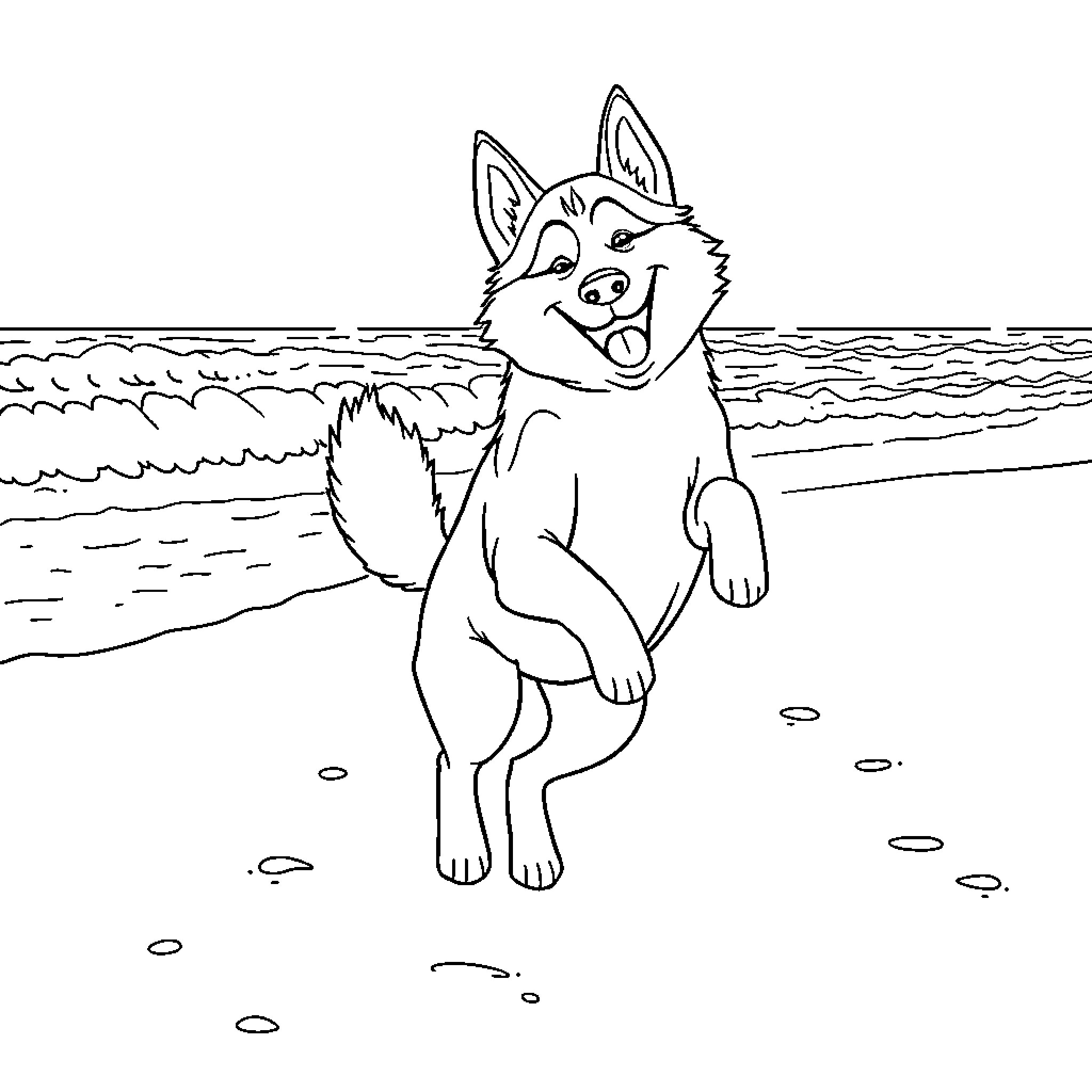 Husky enjoying the beach Coloring Page (free black-and-white line drawing printable PDF for all, from beginners to advanced learners, including children, teens, adults, and seniors)