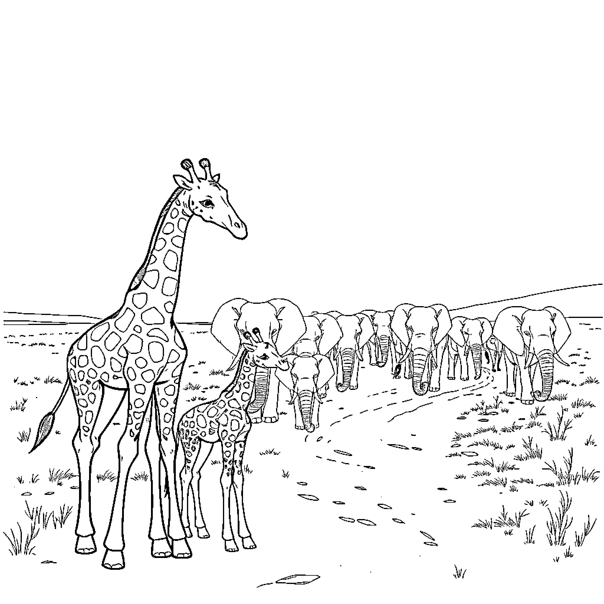 Giraffe and herd of elephants in the wild Coloring Page (free black-and-white line drawing printable PDF for all, from beginners to advanced learners, including children, teens, adults, and seniors)