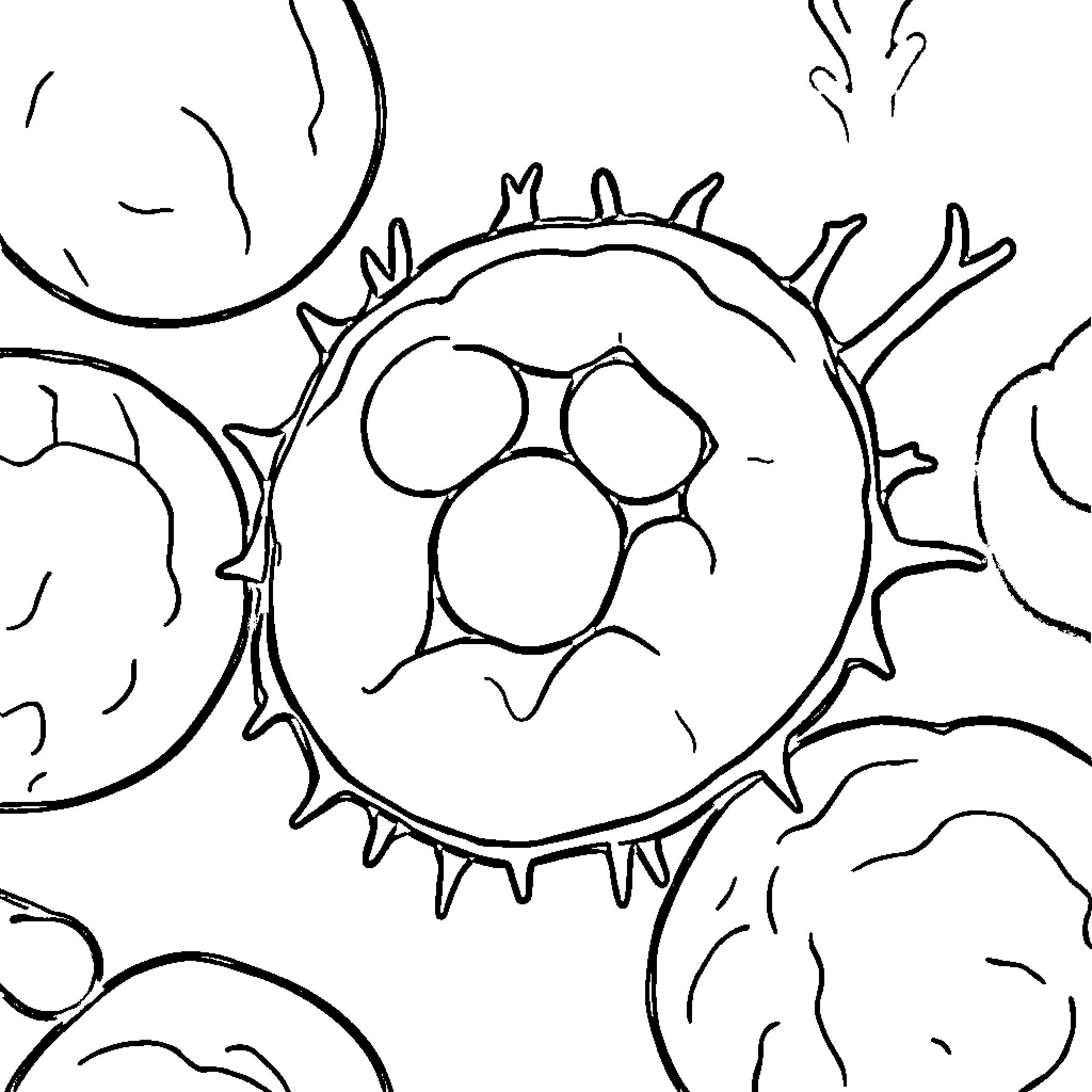 Plant Cell with Spiky Structures Coloring Page (free black-and-white line drawing printable PDF for all, from beginners to advanced learners, including children, teens, adults, and seniors)