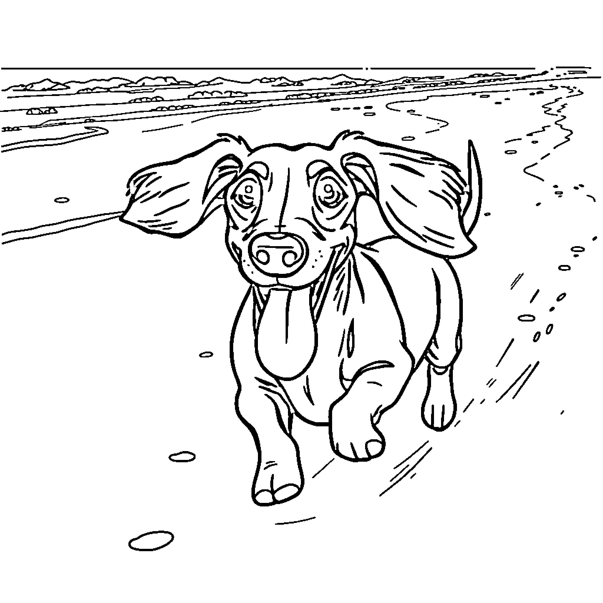 Dachshund running excitedly on the beach Coloring Page (free black-and-white line drawing printable PDF for all, from beginners to advanced learners, including children, teens, adults, and seniors)