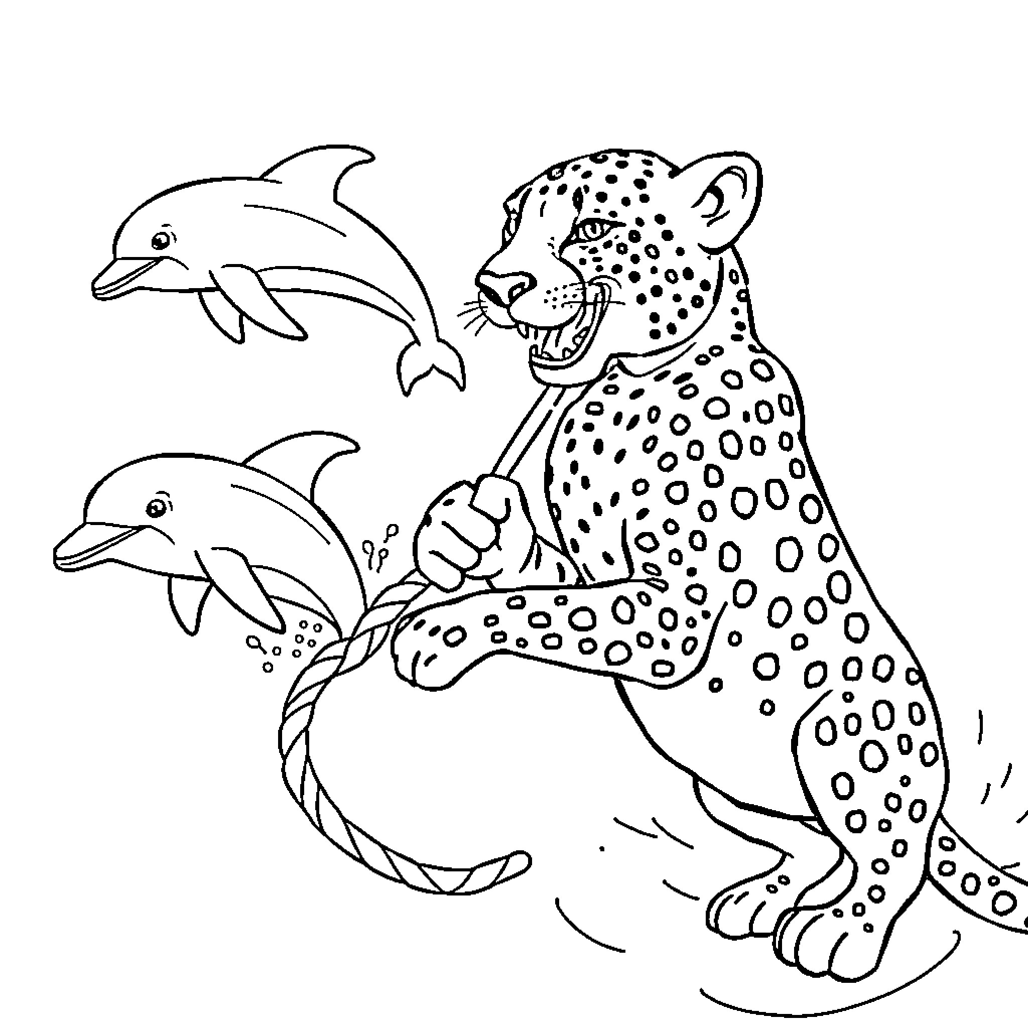 Cheetah chasing playful dolphins in the water Coloring Page (free black-and-white line drawing printable PDF for all, from beginners to advanced learners, including children, teens, adults, and seniors)