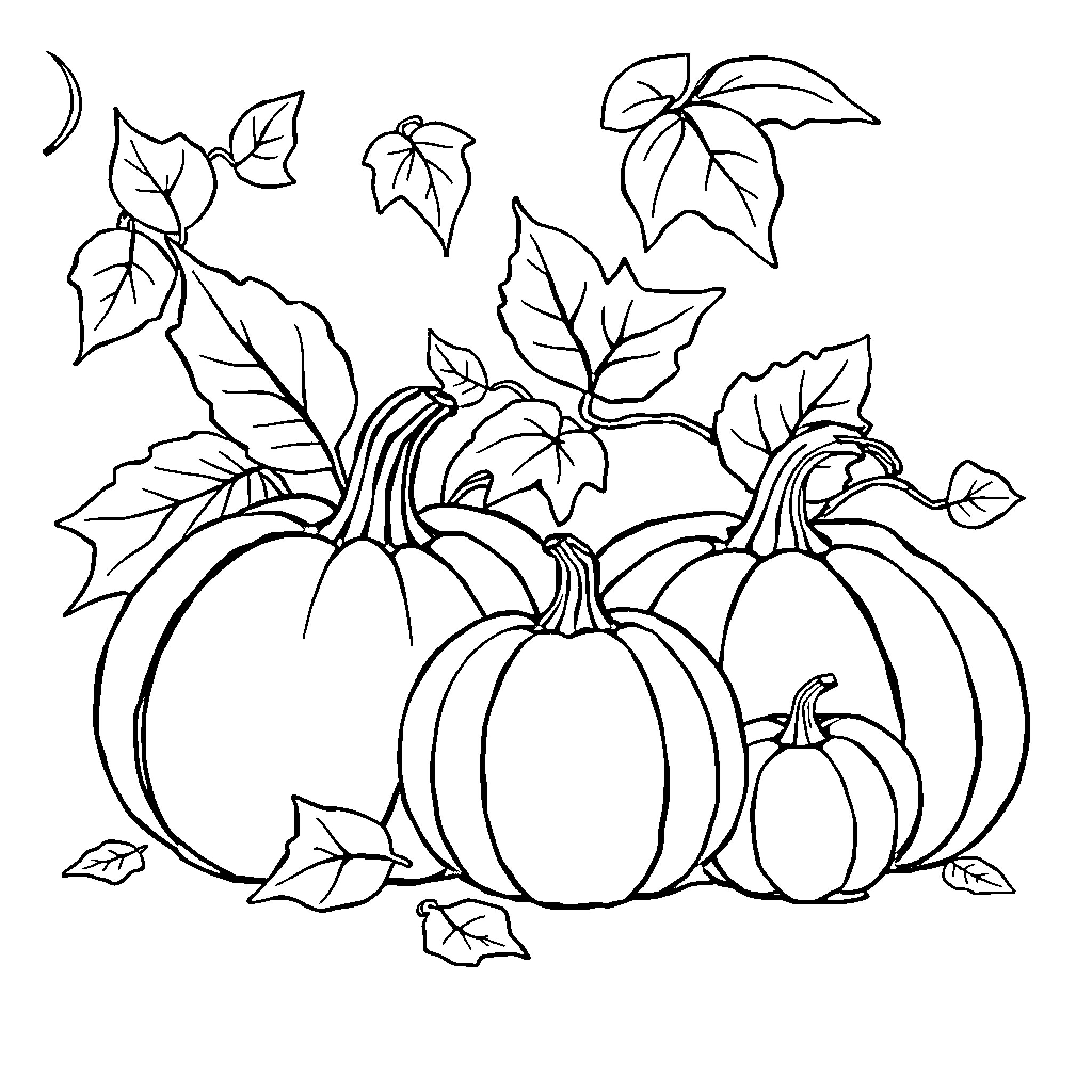 Autumn pumpkins and leaves Coloring Page (free black-and-white line drawing printable PDF for all, from beginners to advanced learners, including children, teens, adults, and seniors)