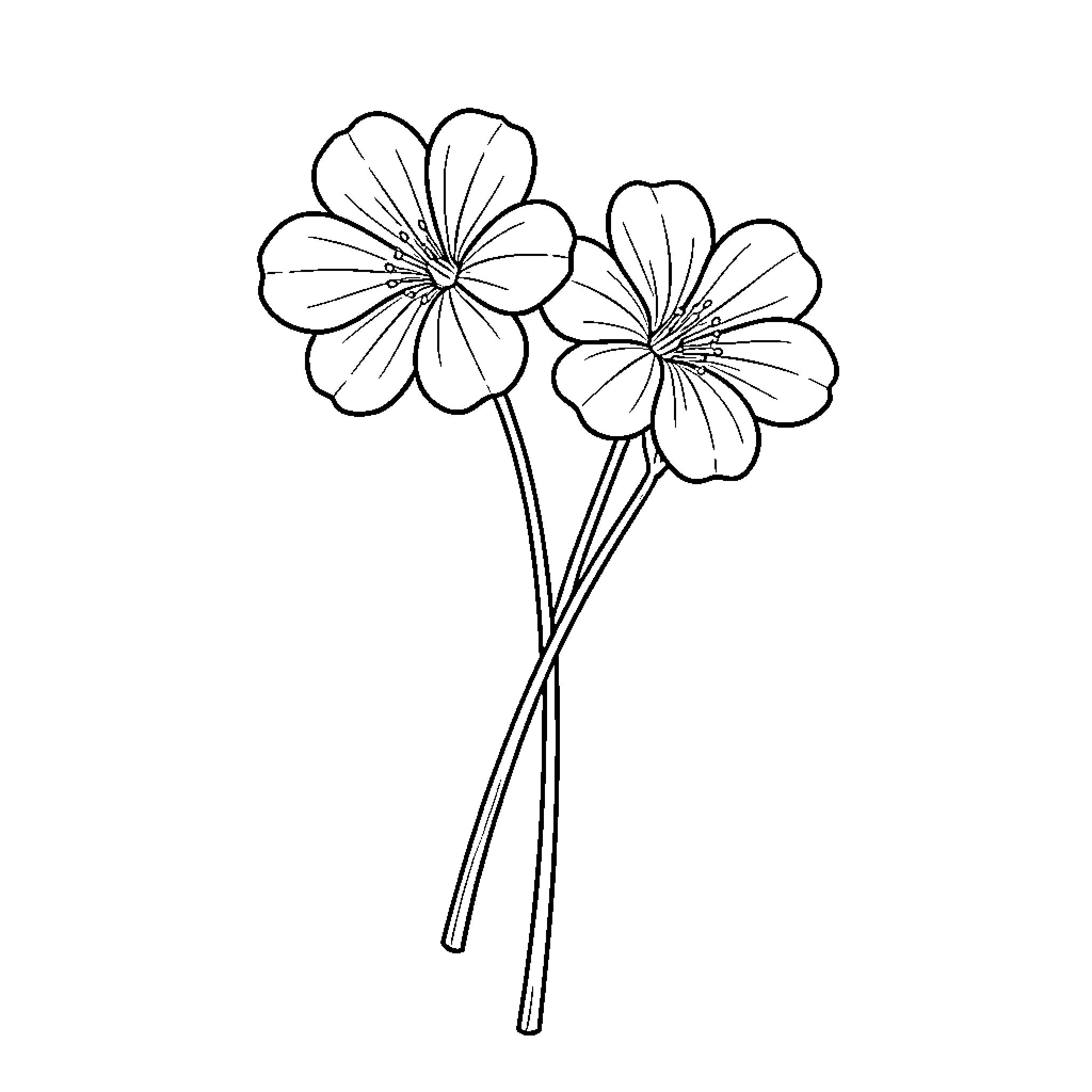 Violet Flower Bouquet Coloring Page (free black-and-white line drawing printable PDF for all, from beginners to advanced learners, including children, teens, adults, and seniors)