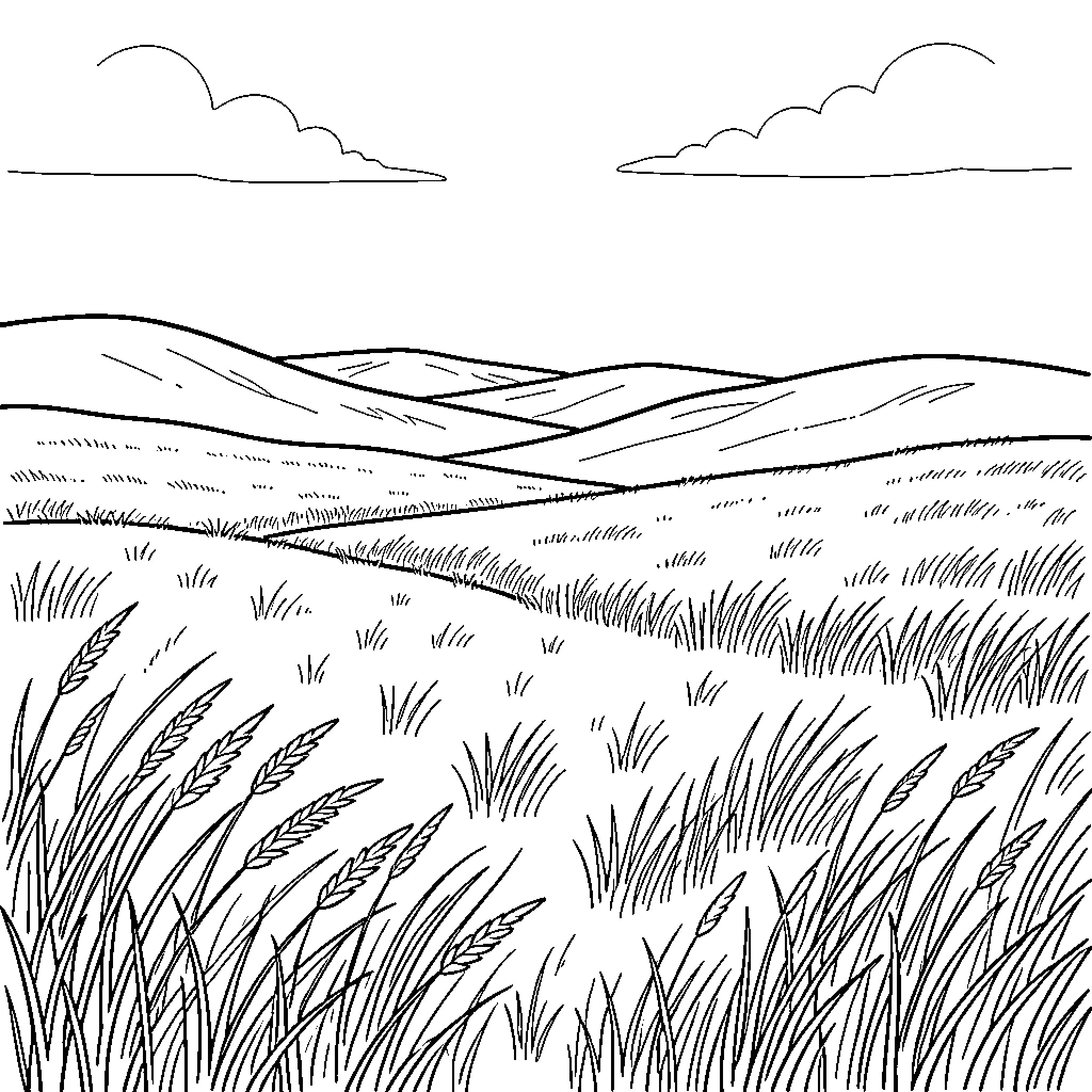 Steppe landscape with rolling hills and wheat fields Coloring Page (free black-and-white line drawing printable PDF for all, from beginners to advanced learners, including children, teens, adults, and seniors)