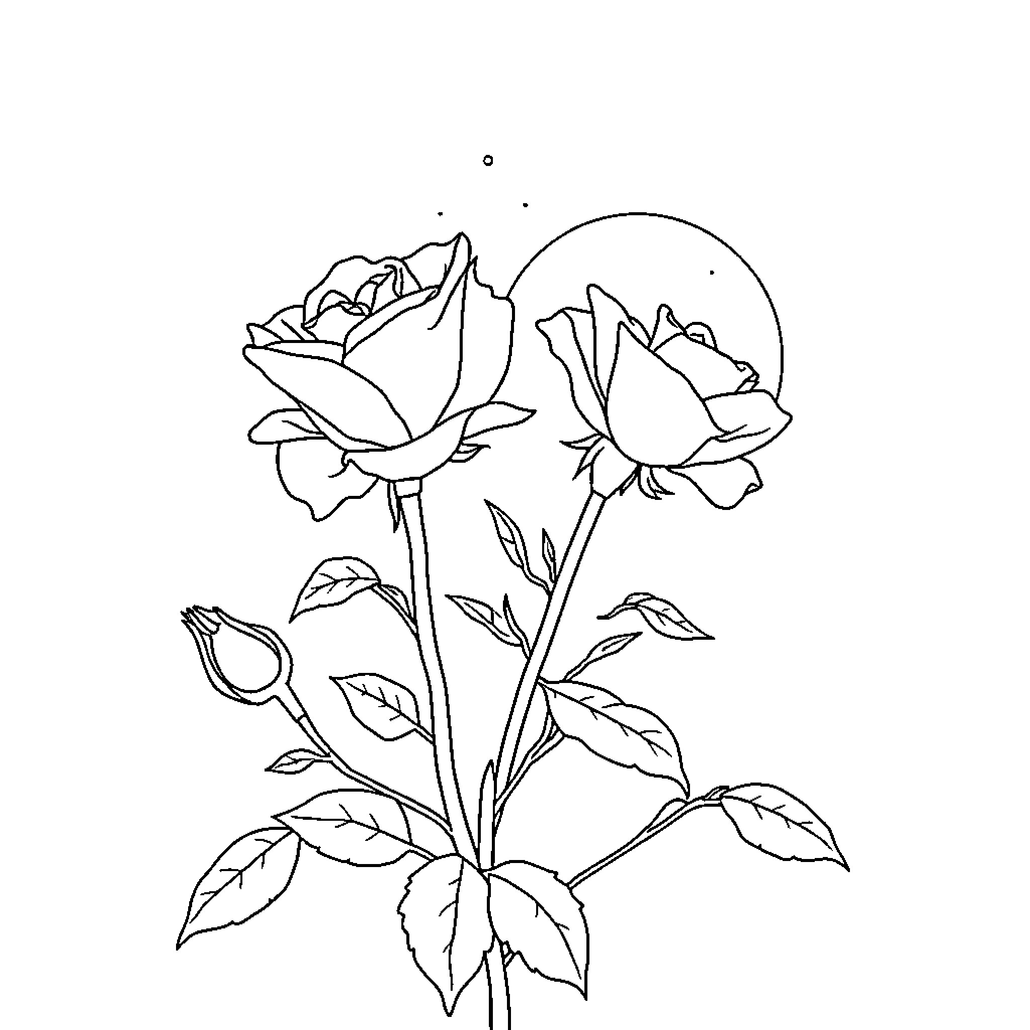 Rose Blossoms under Moonlight Coloring Page (free black-and-white line drawing printable PDF for all, from beginners to advanced learners, including children, teens, adults, and seniors)