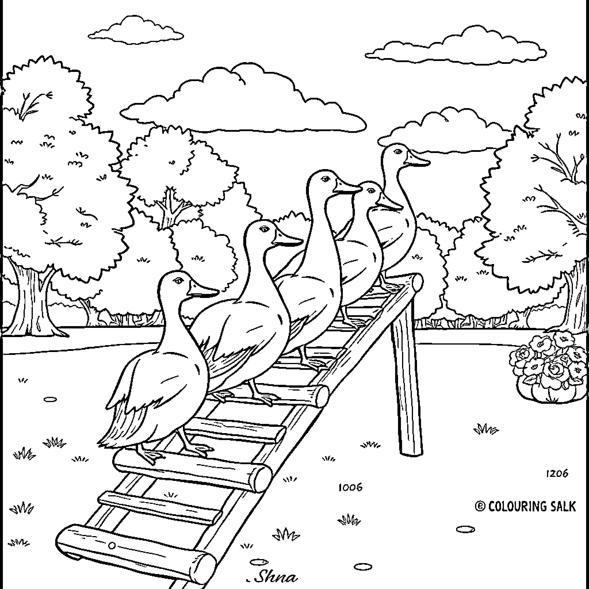 Ducks walking on wooden bridge in forest Coloring Page (free black-and-white line drawing printable PDF for all, from beginners to advanced learners, including children, teens, adults, and seniors)