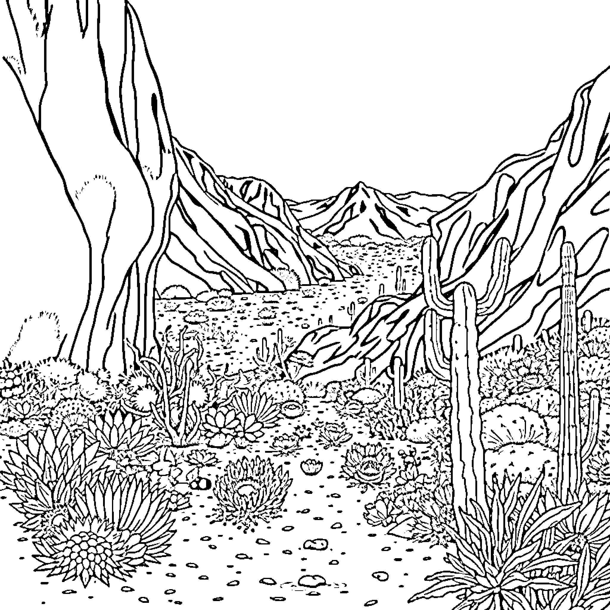 Caatinga landscape with diverse flora and terrain Coloring Page (free black-and-white line drawing printable PDF for all, from beginners to advanced learners, including children, teens, adults, and seniors)