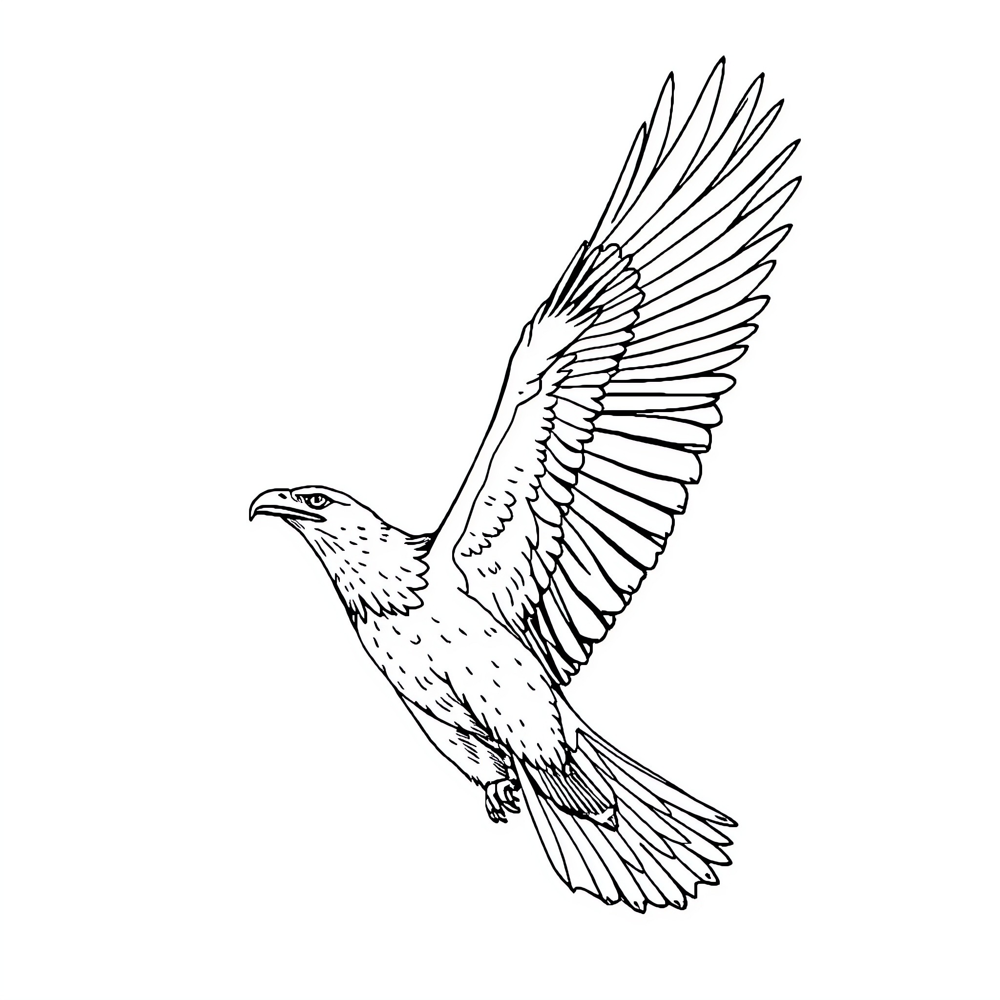 Eagle soaring with outstretched wings Coloring Page (free black-and-white line drawing printable PDF for all, from beginners to advanced learners, including children, teens, adults, and seniors)