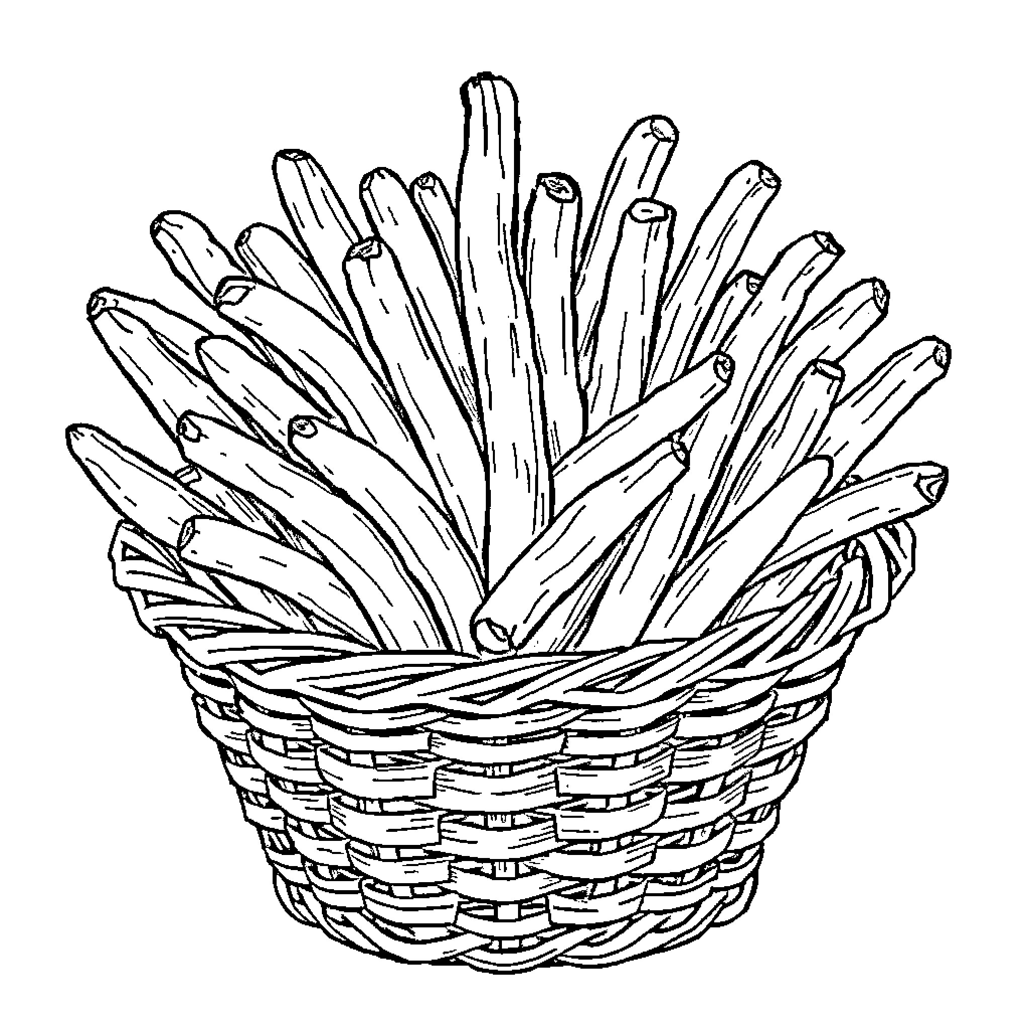 Potato Basket of Organic Vegetables Coloring Page (free black-and-white line drawing printable PDF for all, from beginners to advanced learners, including children, teens, adults, and seniors)