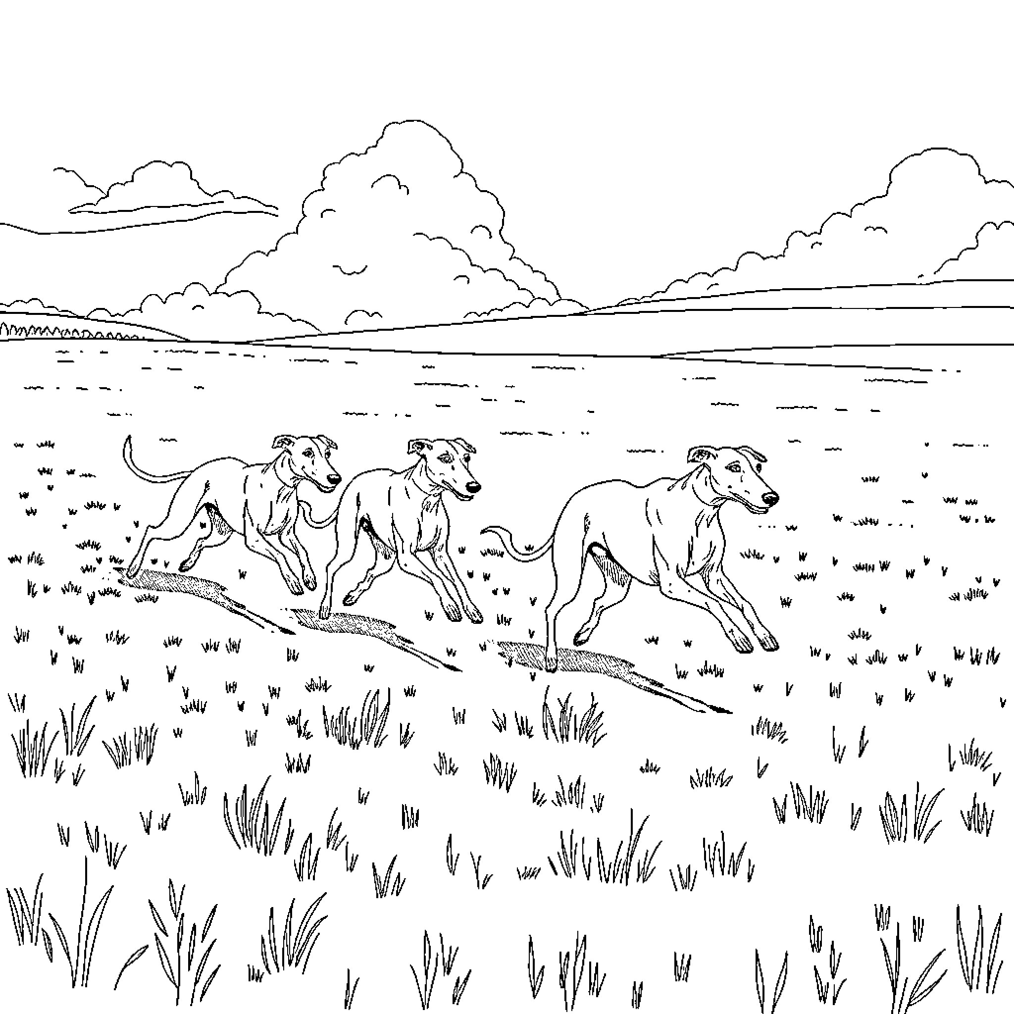Hares running freely across grassy field Coloring Page (free black-and-white line drawing printable PDF for all, from beginners to advanced learners, including children, teens, adults, and seniors)