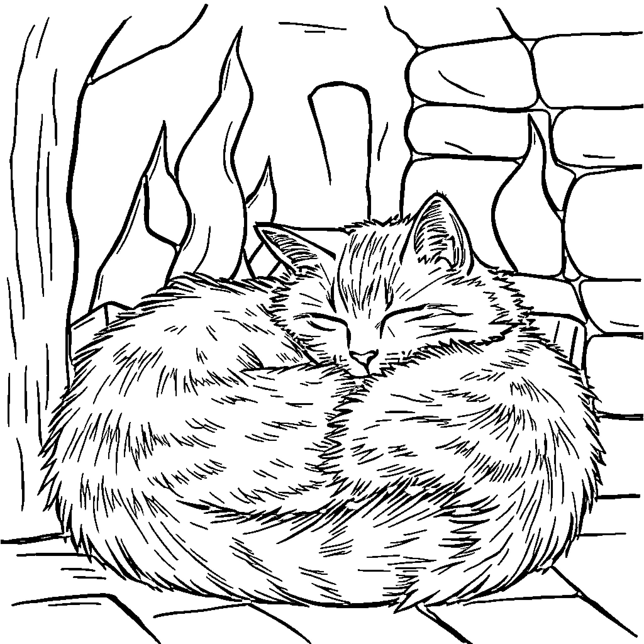 Cat sleeping in cozy nook Coloring Page (free black-and-white line drawing printable PDF for all, from beginners to advanced learners, including children, teens, adults, and seniors)