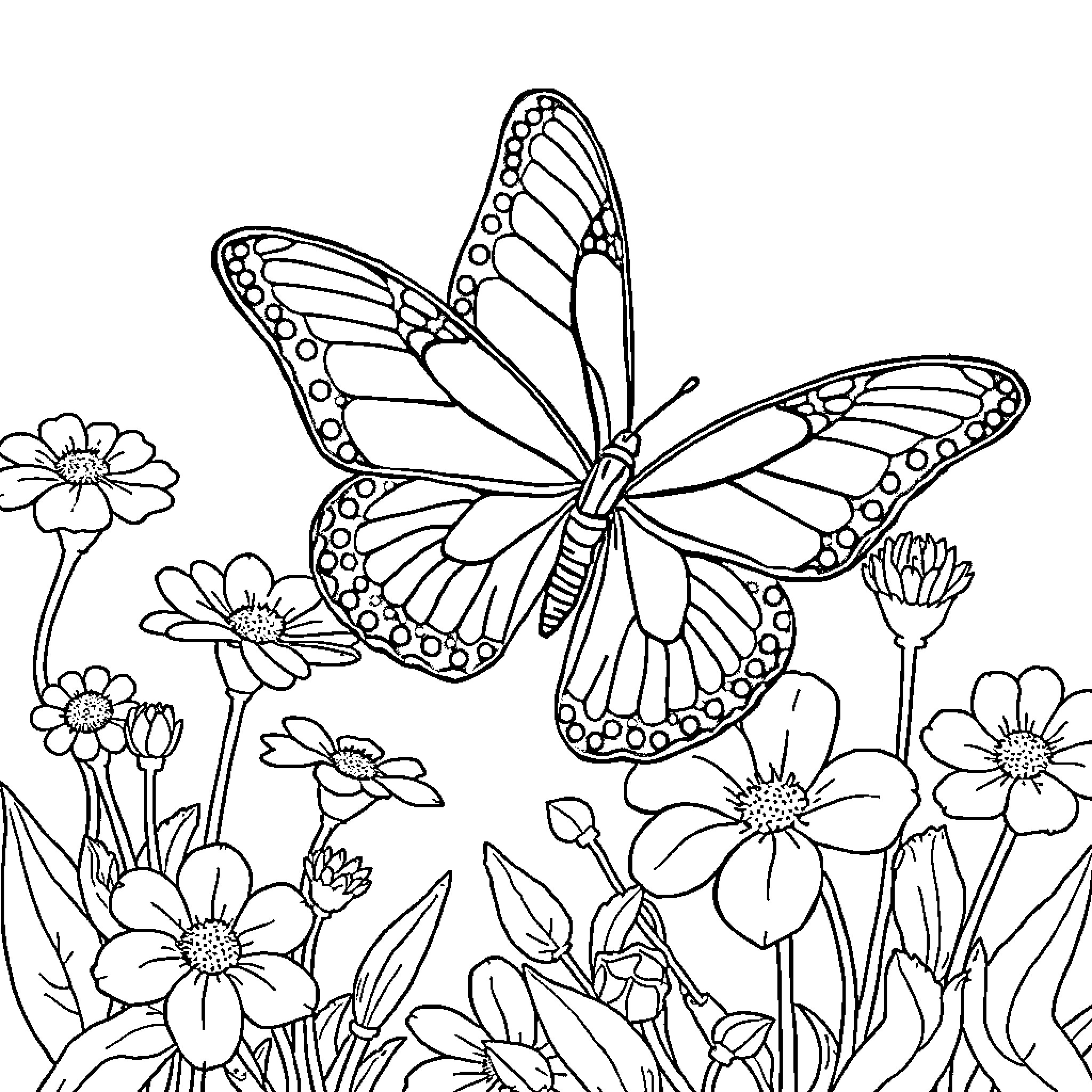 Butterfly with intricate wings amongst a garden of flowers Coloring Page (free black-and-white line drawing printable PDF for all, from beginners to advanced learners, including children, teens, adults, and seniors)