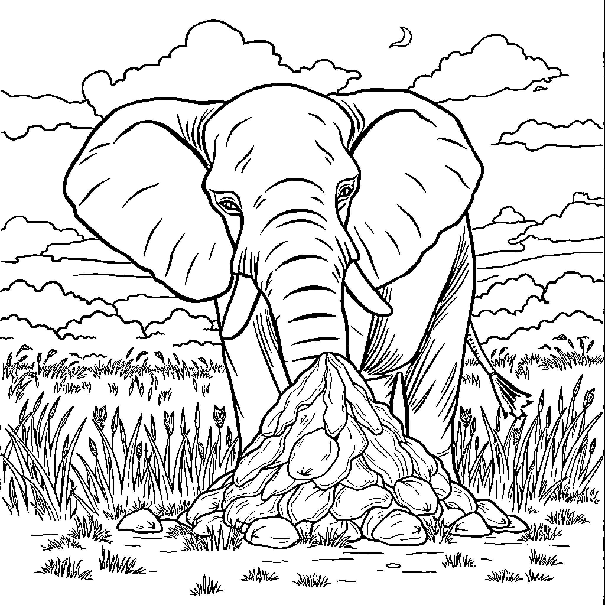 Elephant standing tall in the wild landscape Coloring Page (free black-and-white line drawing printable PDF for all, from beginners to advanced learners, including children, teens, adults, and seniors)